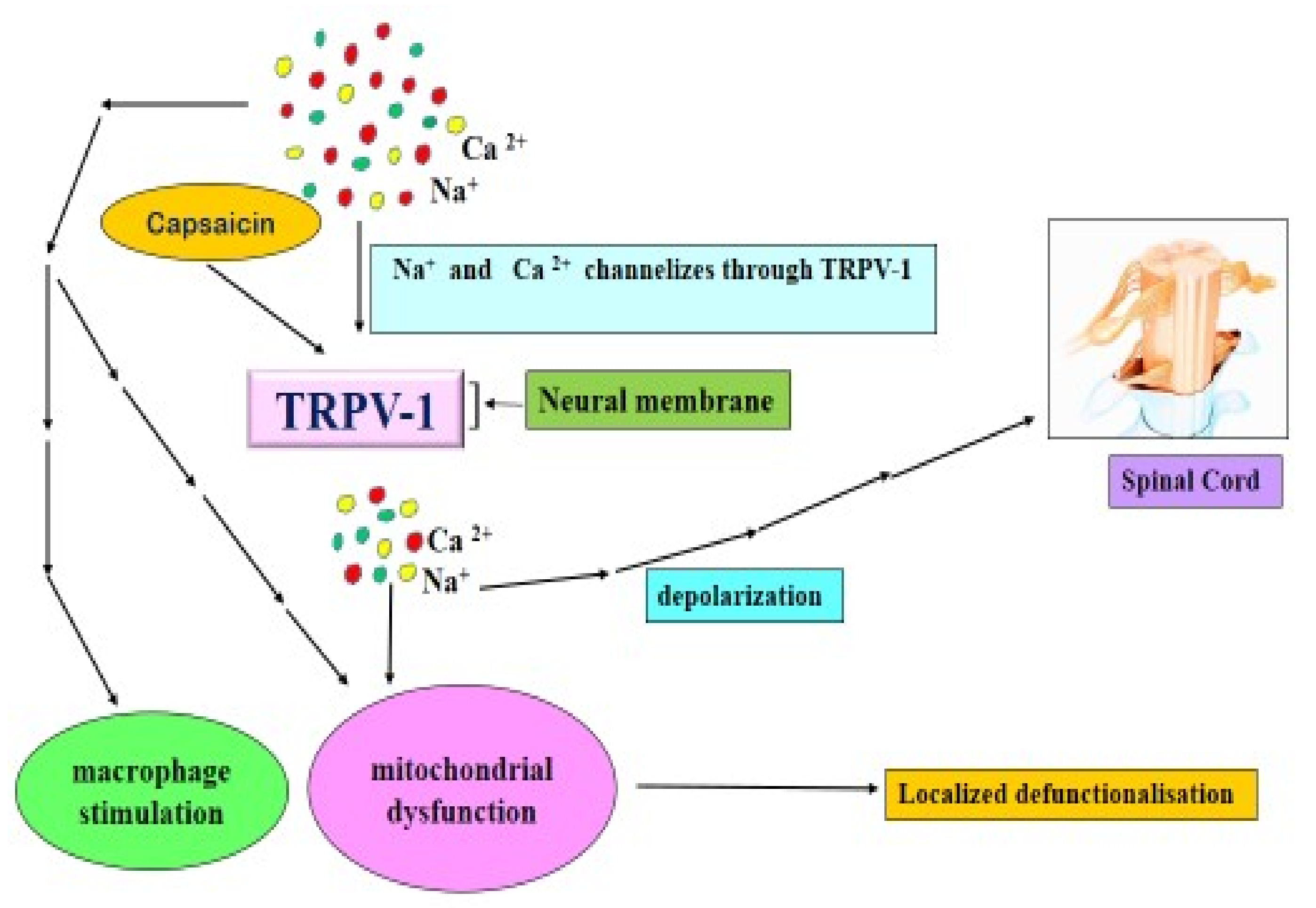 Molecules 27 06380 g003 Molecules 27 06380 g003