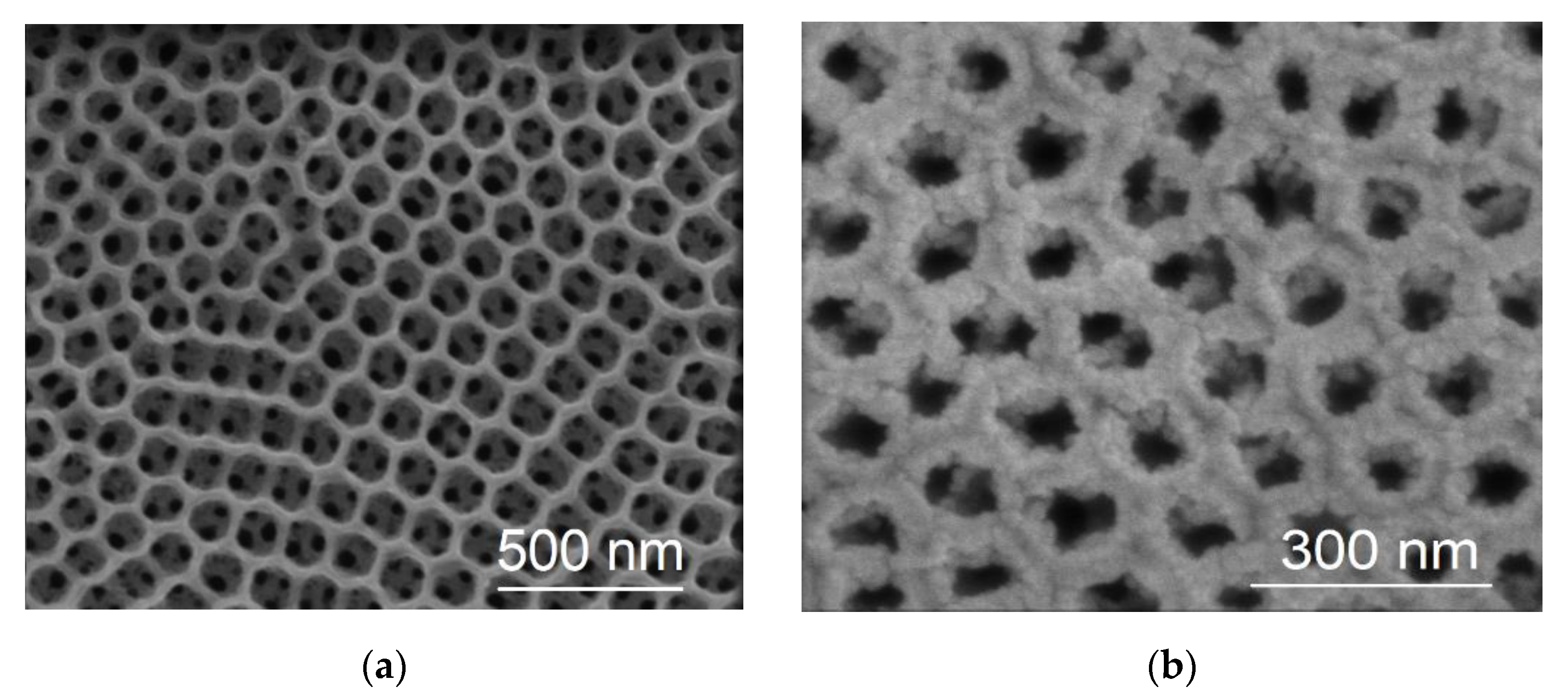 Molecules 27 06382 g001