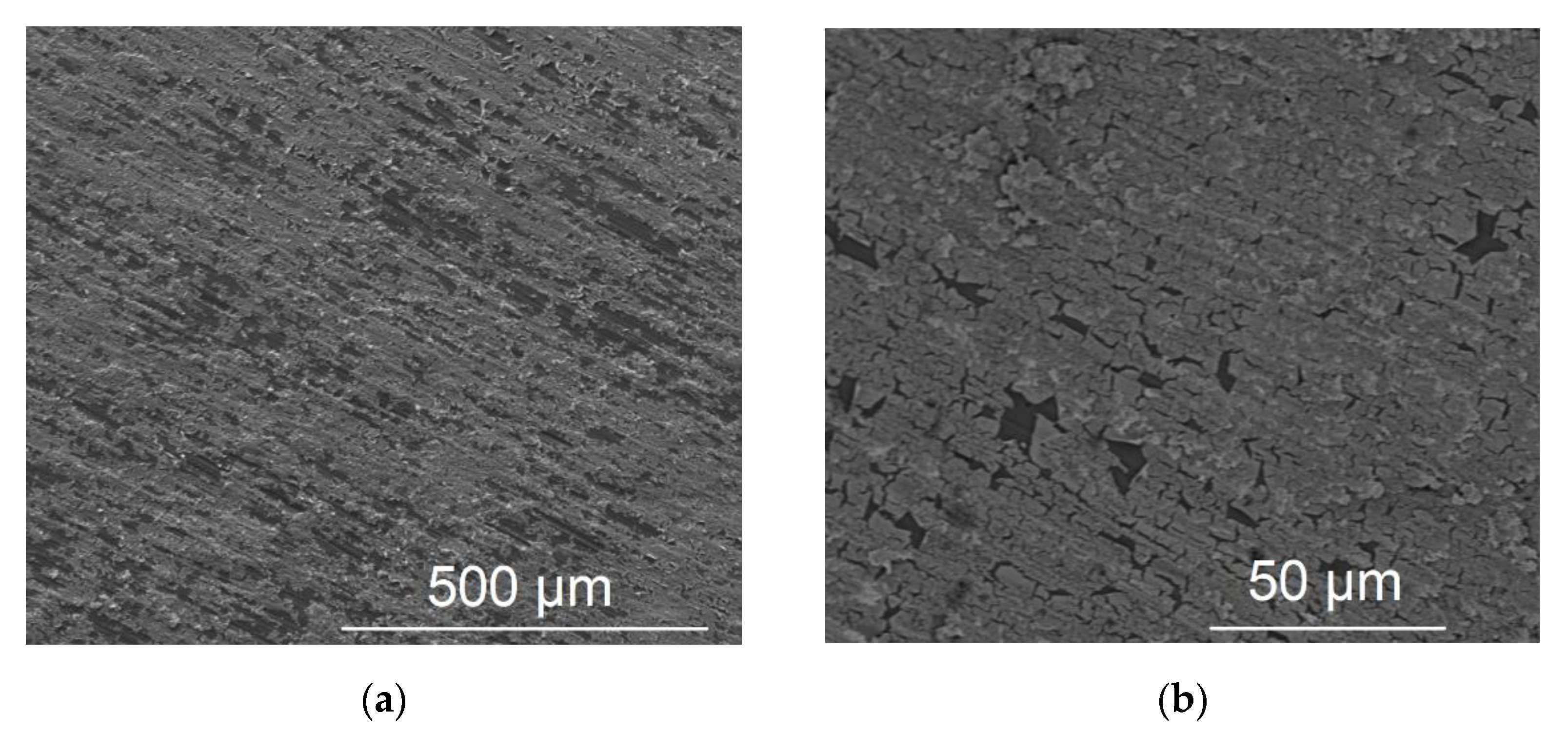 Molecules 27 06382 g003