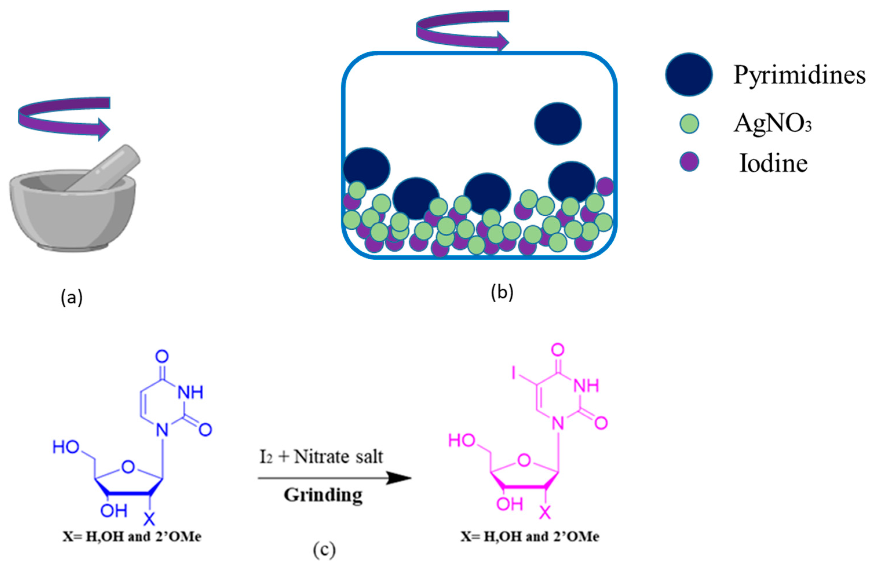 Molecules 27 06386 g001