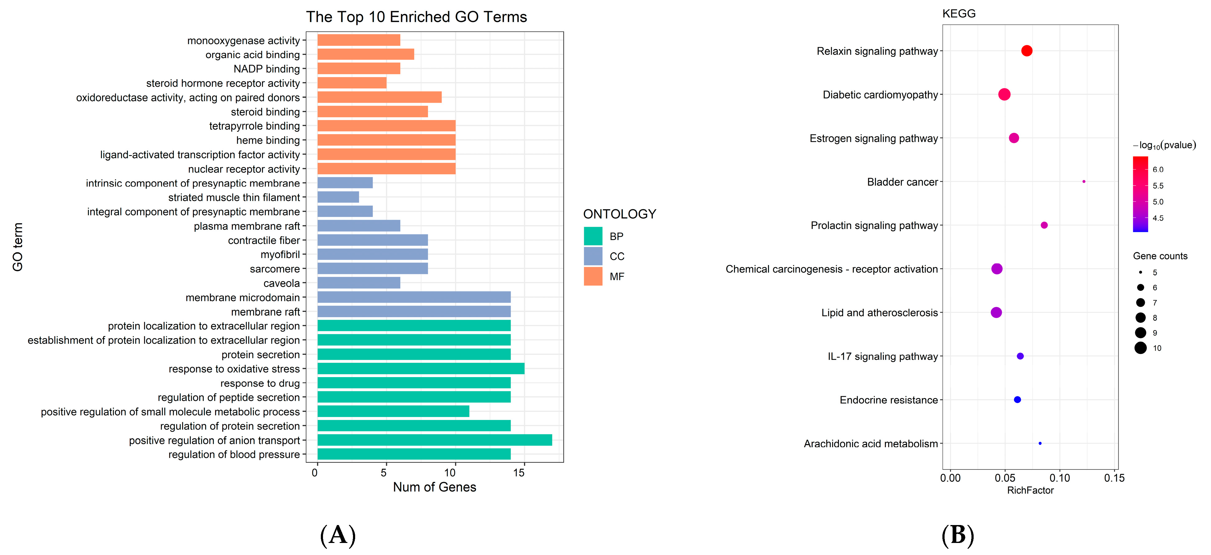 Molecules 27 06391 g003