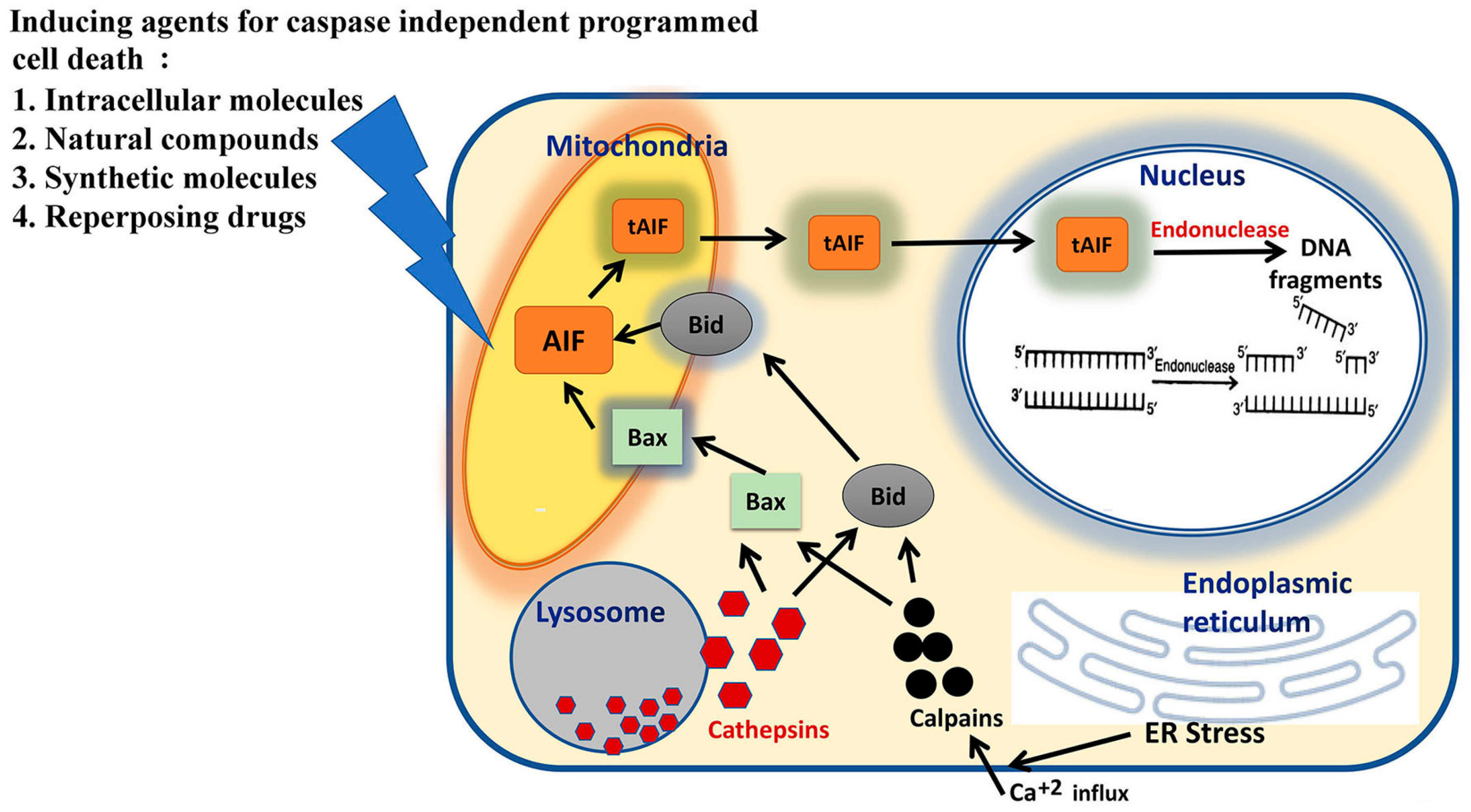 Molecules 27 06401 g002 Molecules 27 06401 g002