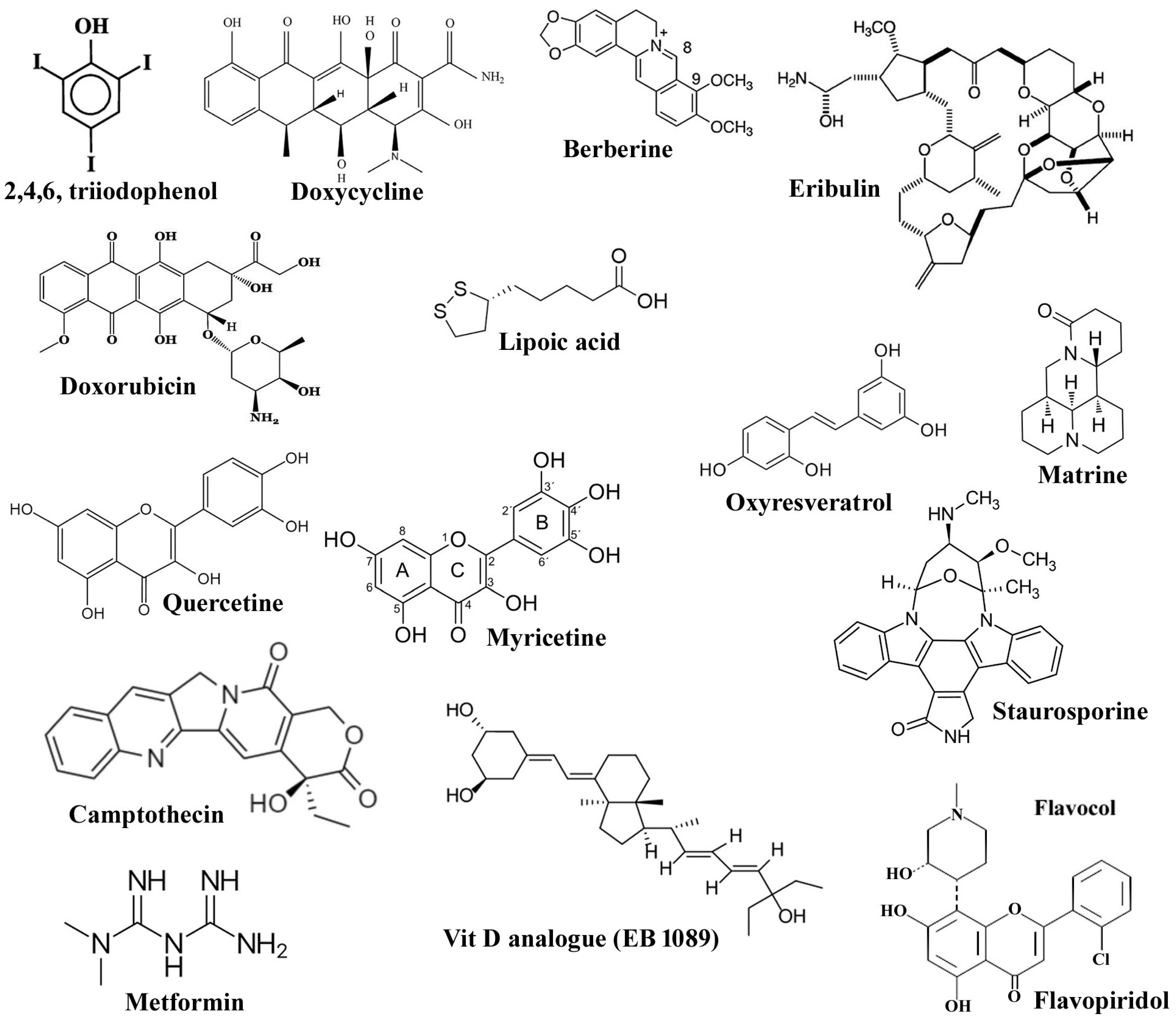 Molecules 27 06401 g003 Molecules 27 06401 g003