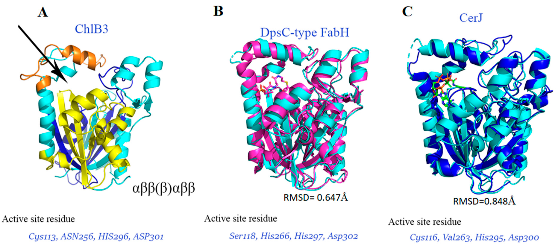 Molecules 27 06405 g003