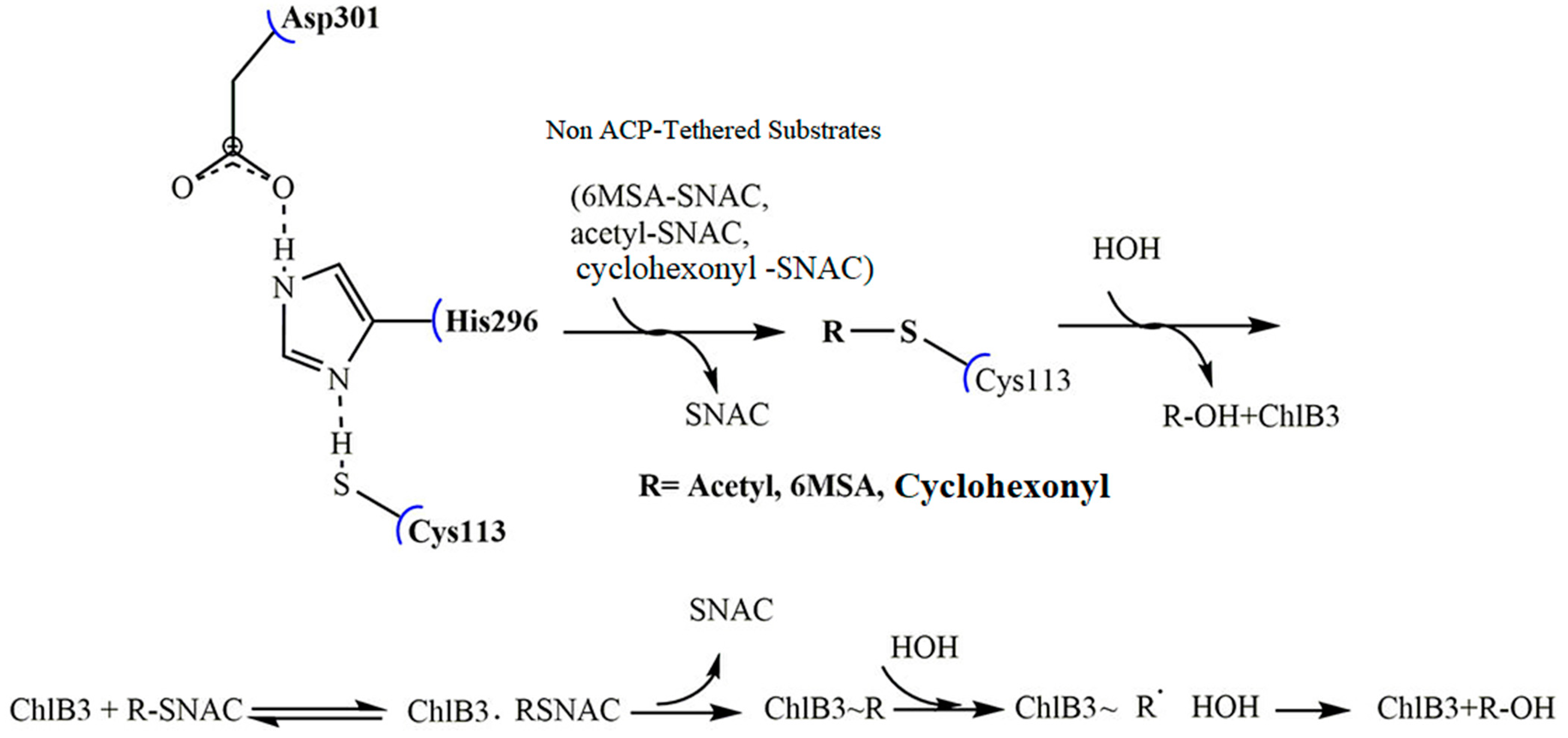 Molecules 27 06405 g004
