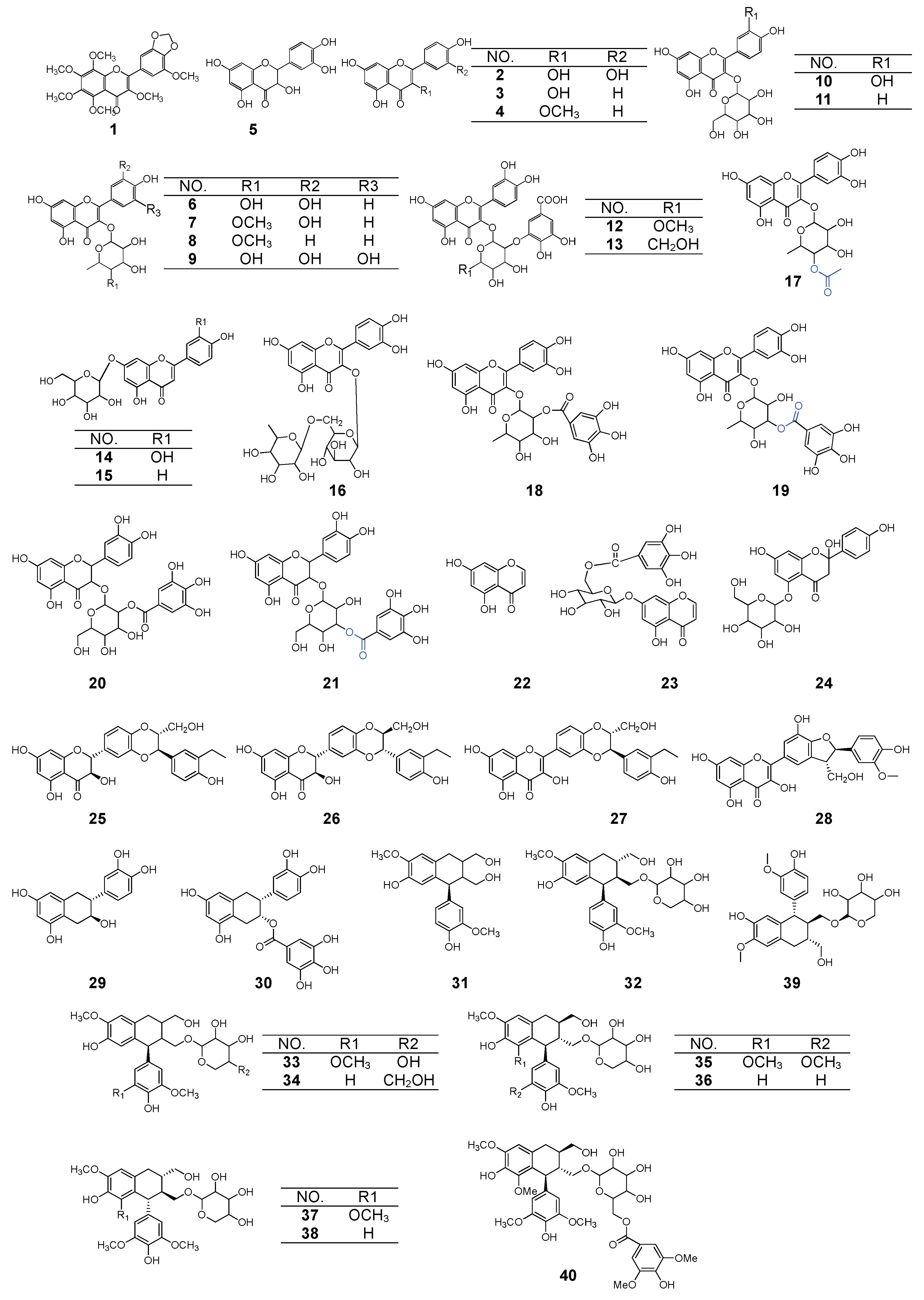 Molecules 27 06407 g001 Molecules 27 06407 g001