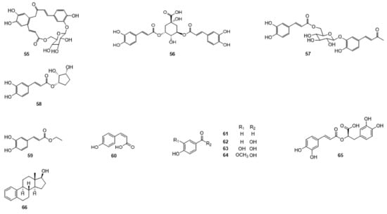 Molecules 27 06411 g001d