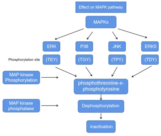 Molecules 27 06411 g002
