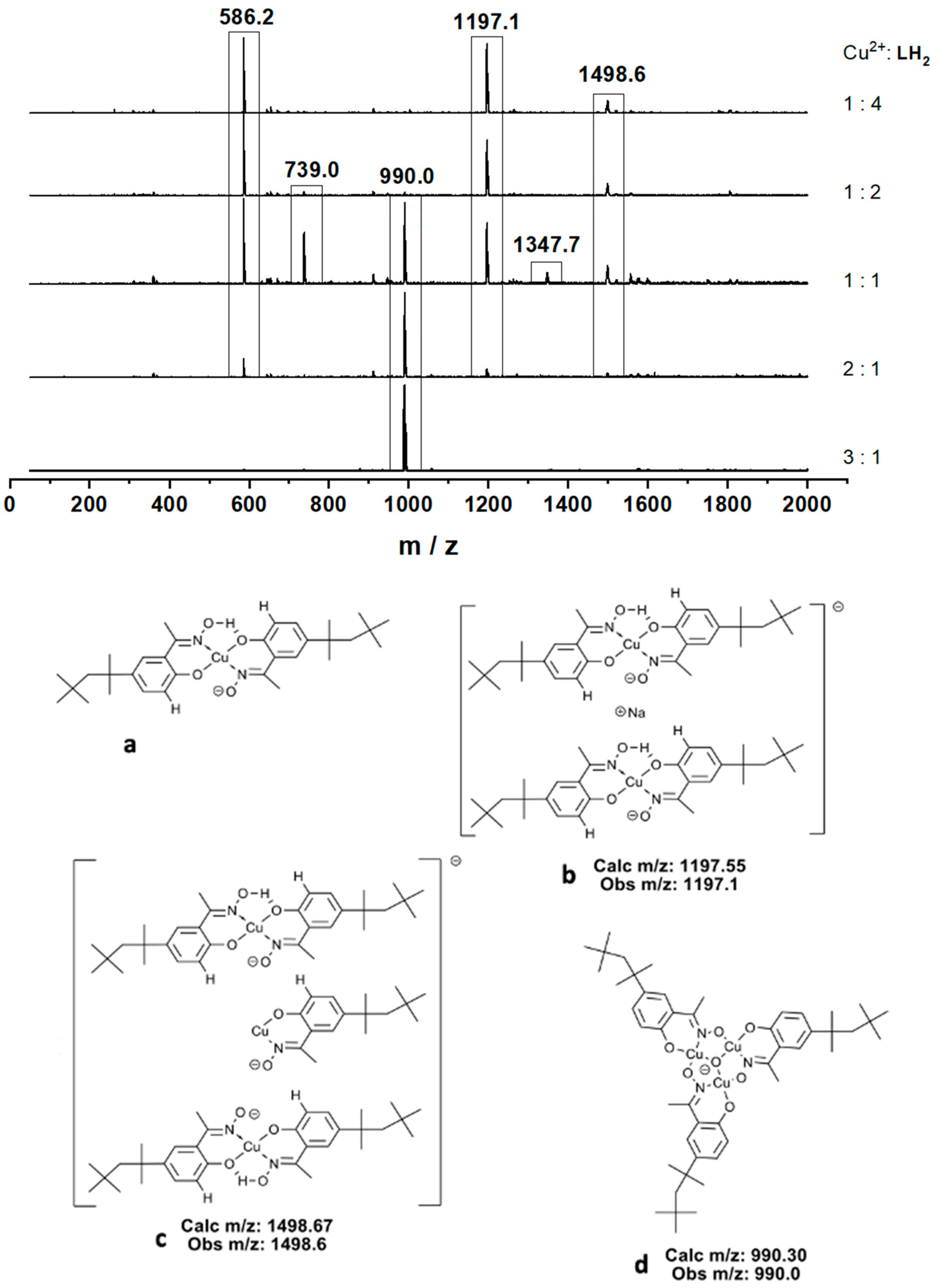 Molecules 27 06421 g006