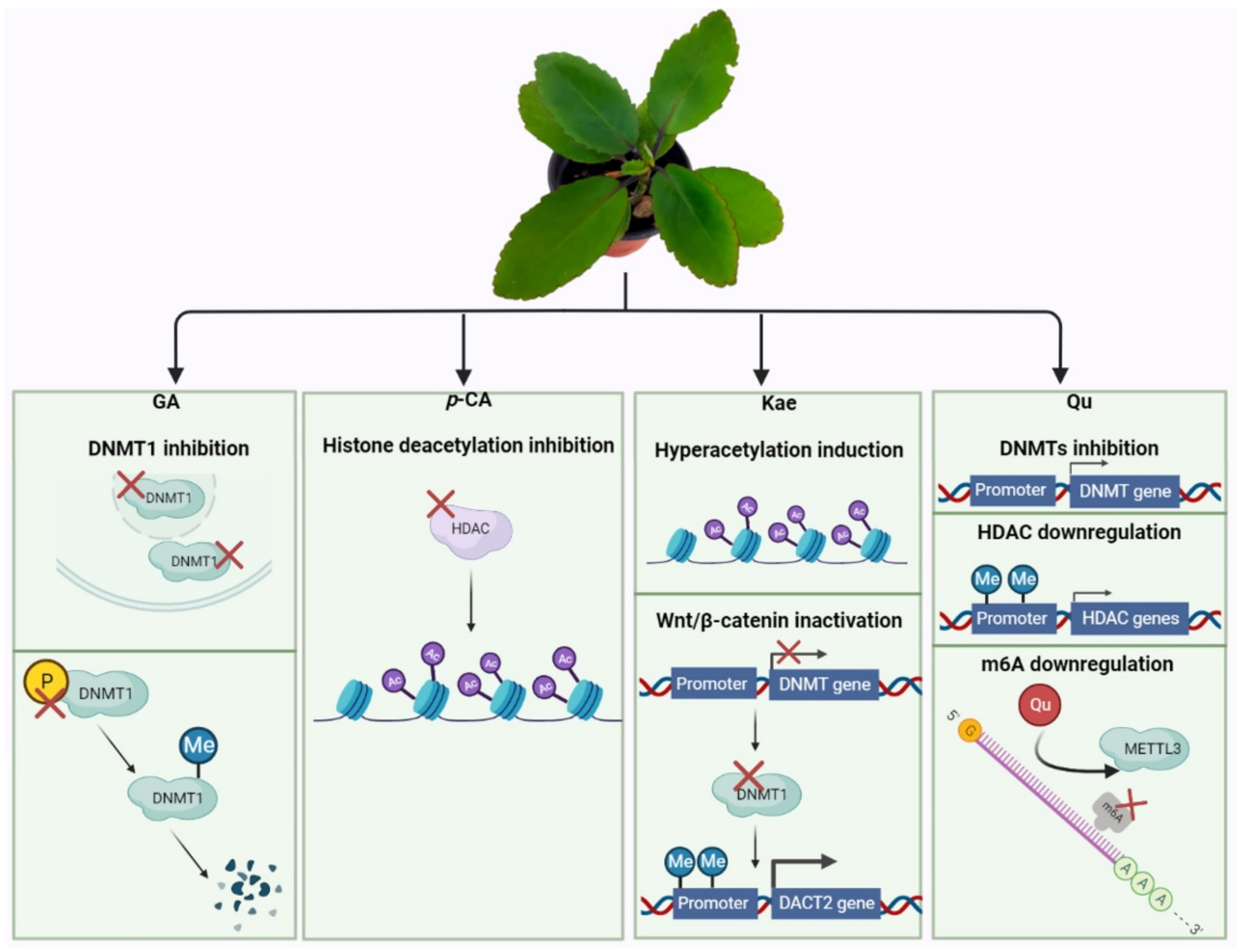 Molecules 27 06425 g003