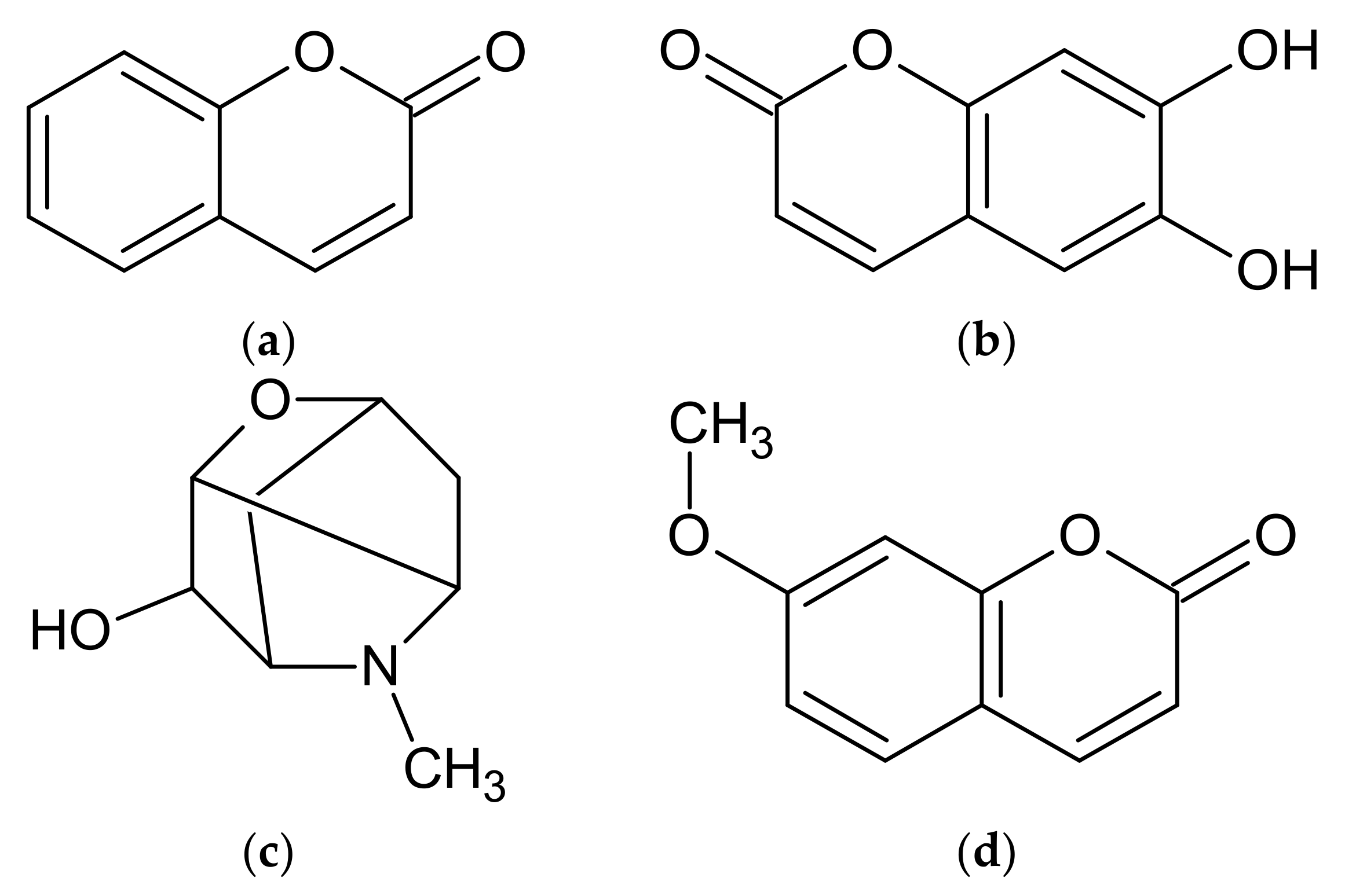 Molecules 27 06427 g003