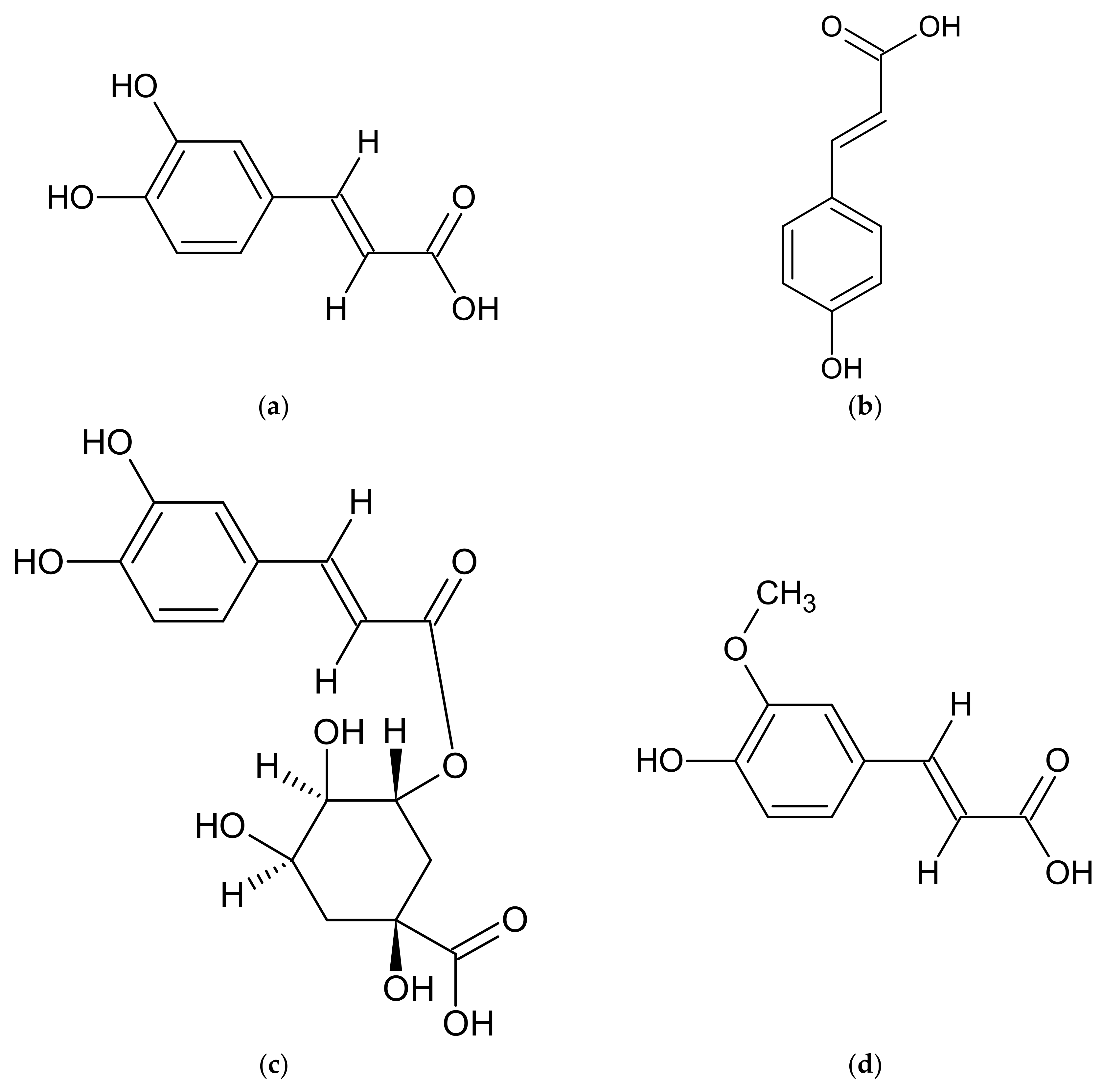Molecules 27 06427 g004