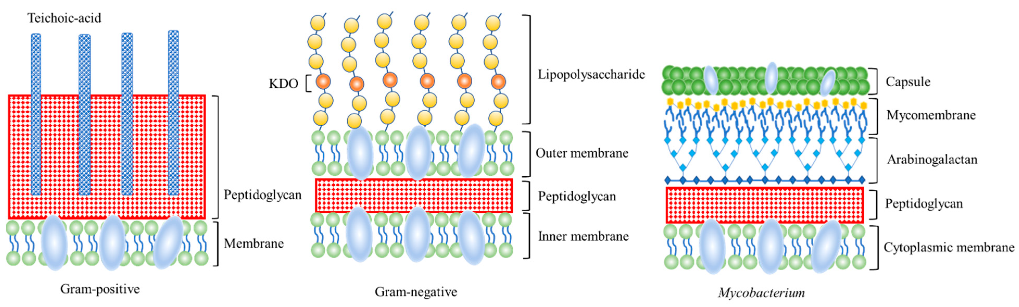 Molecules 27 06440 g003