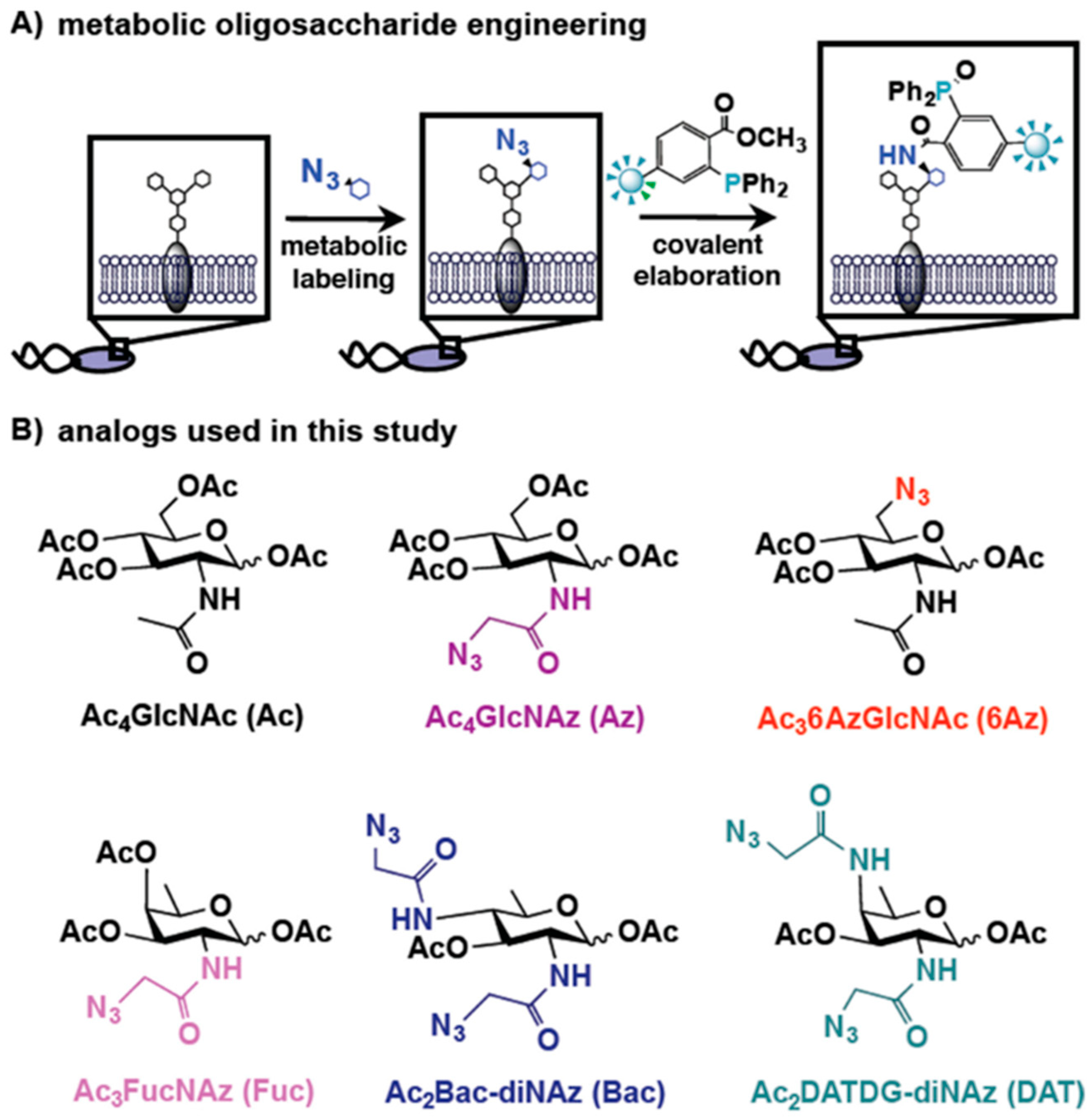 Molecules 27 06440 g005