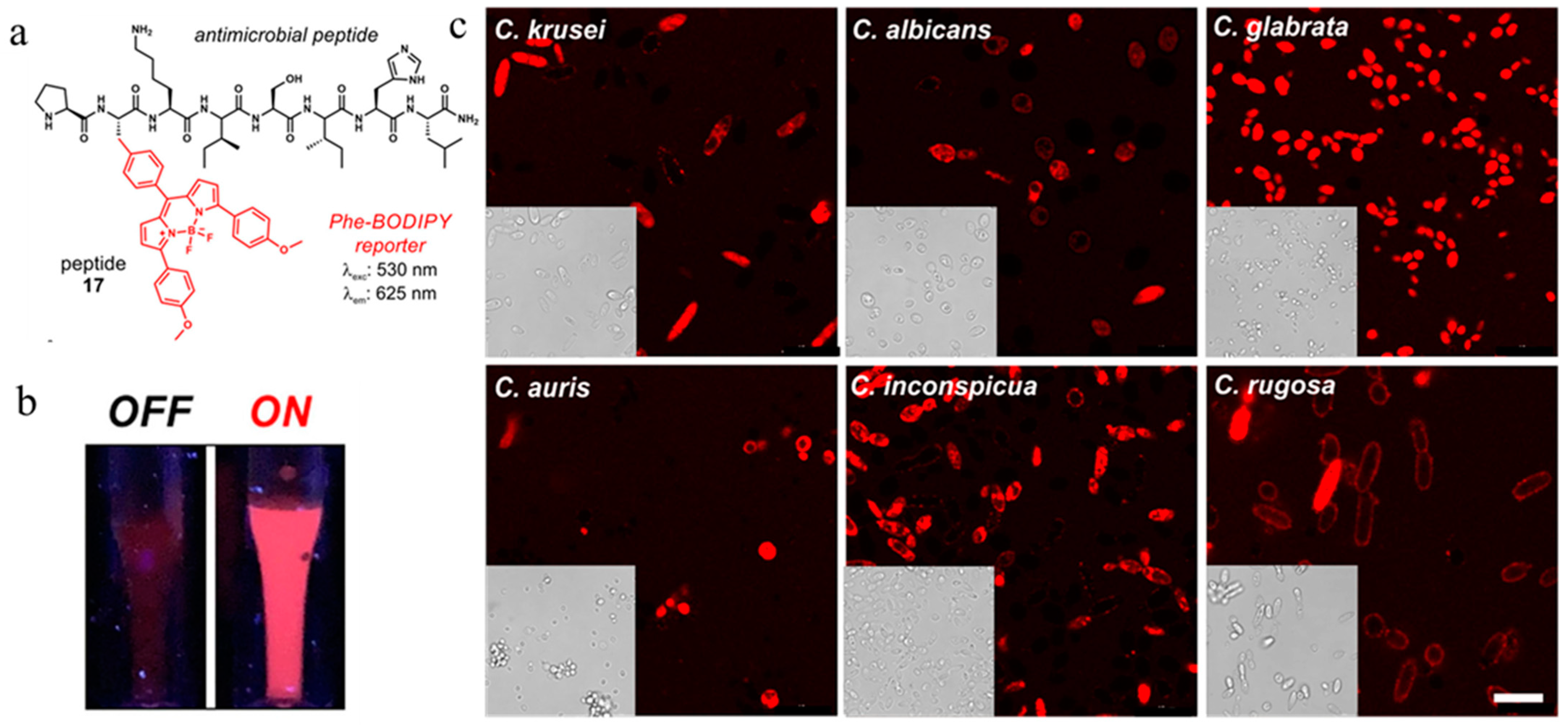Molecules 27 06440 g013