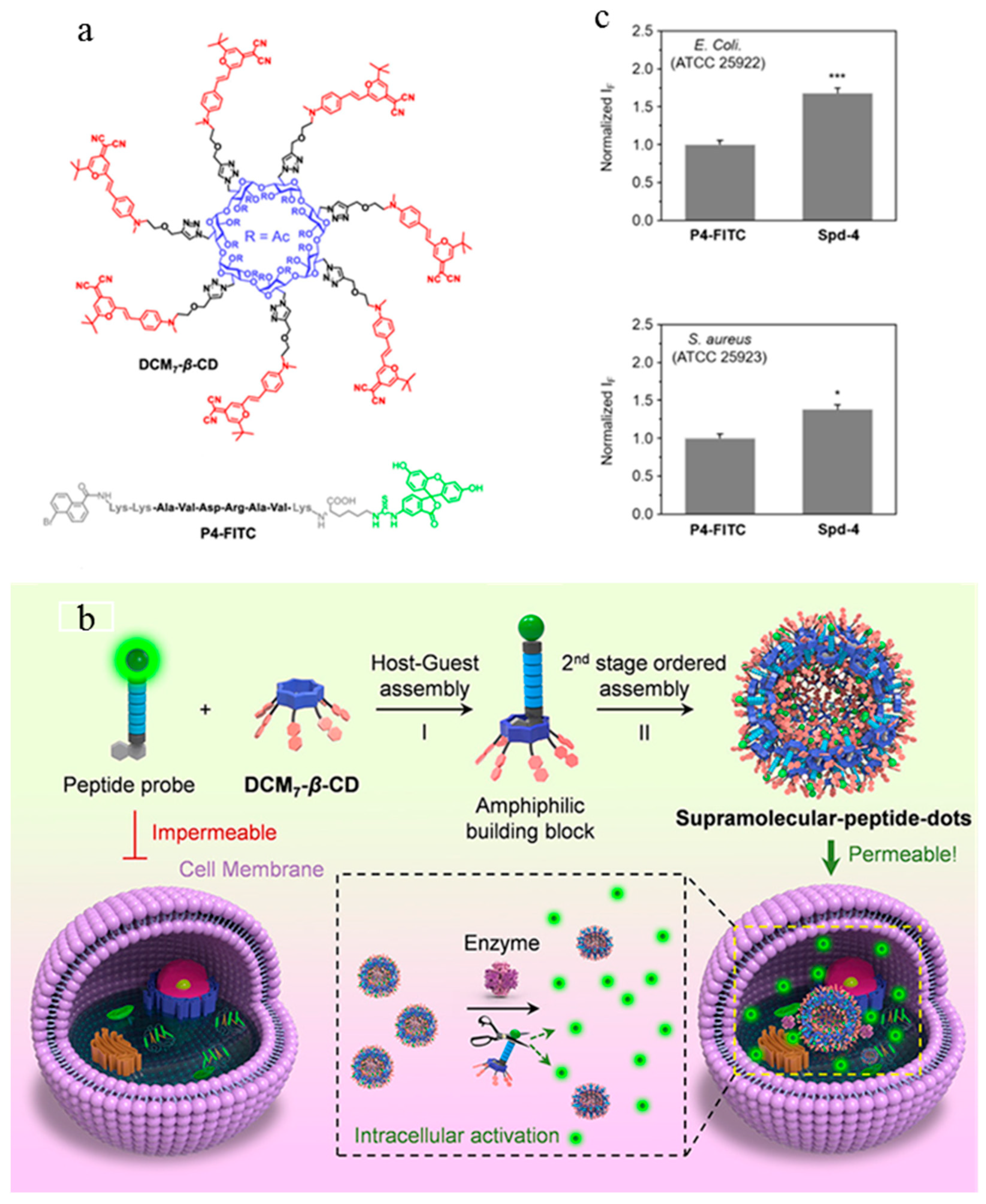 Molecules 27 06440 g014