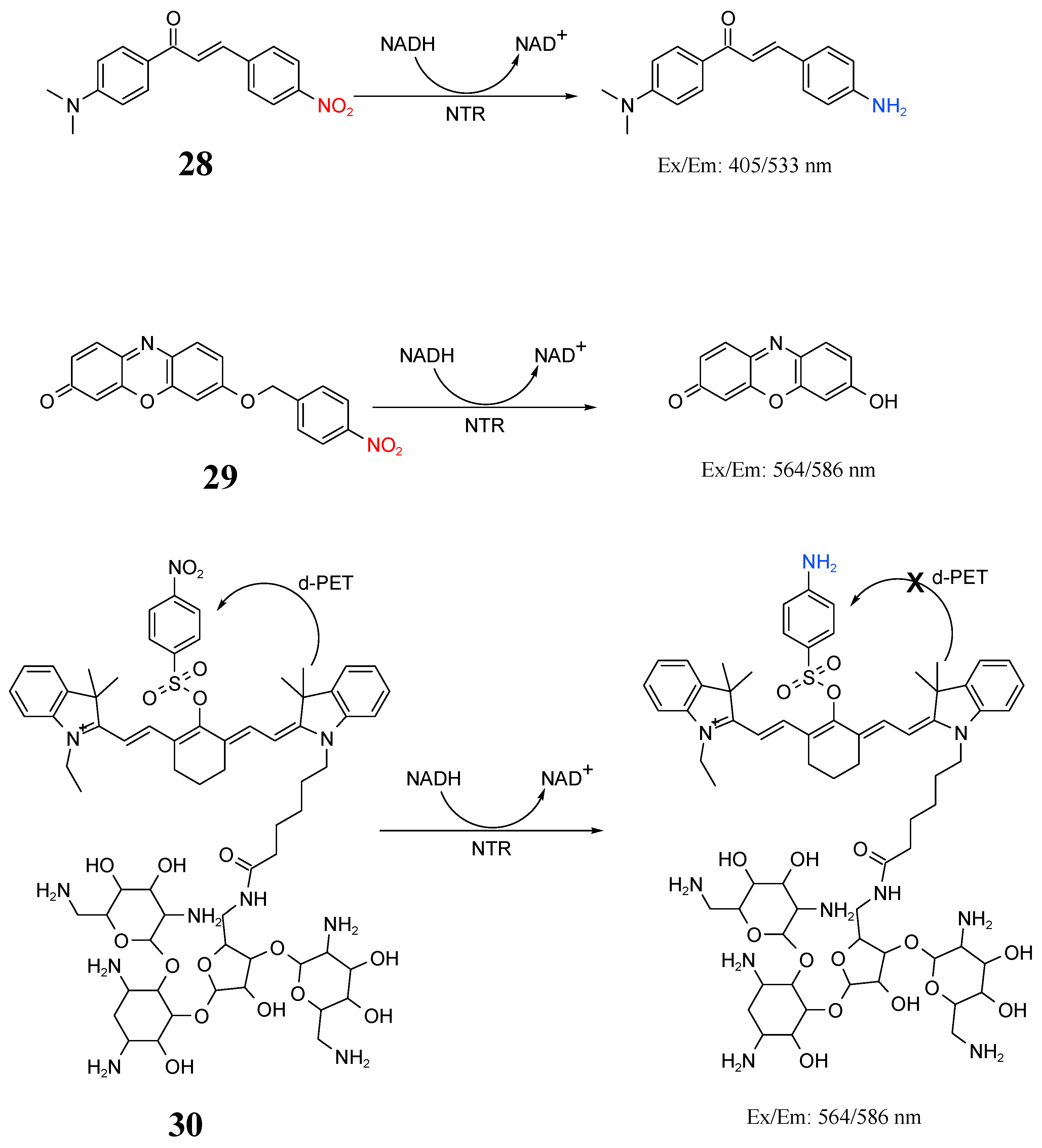 Molecules 27 06440 g016