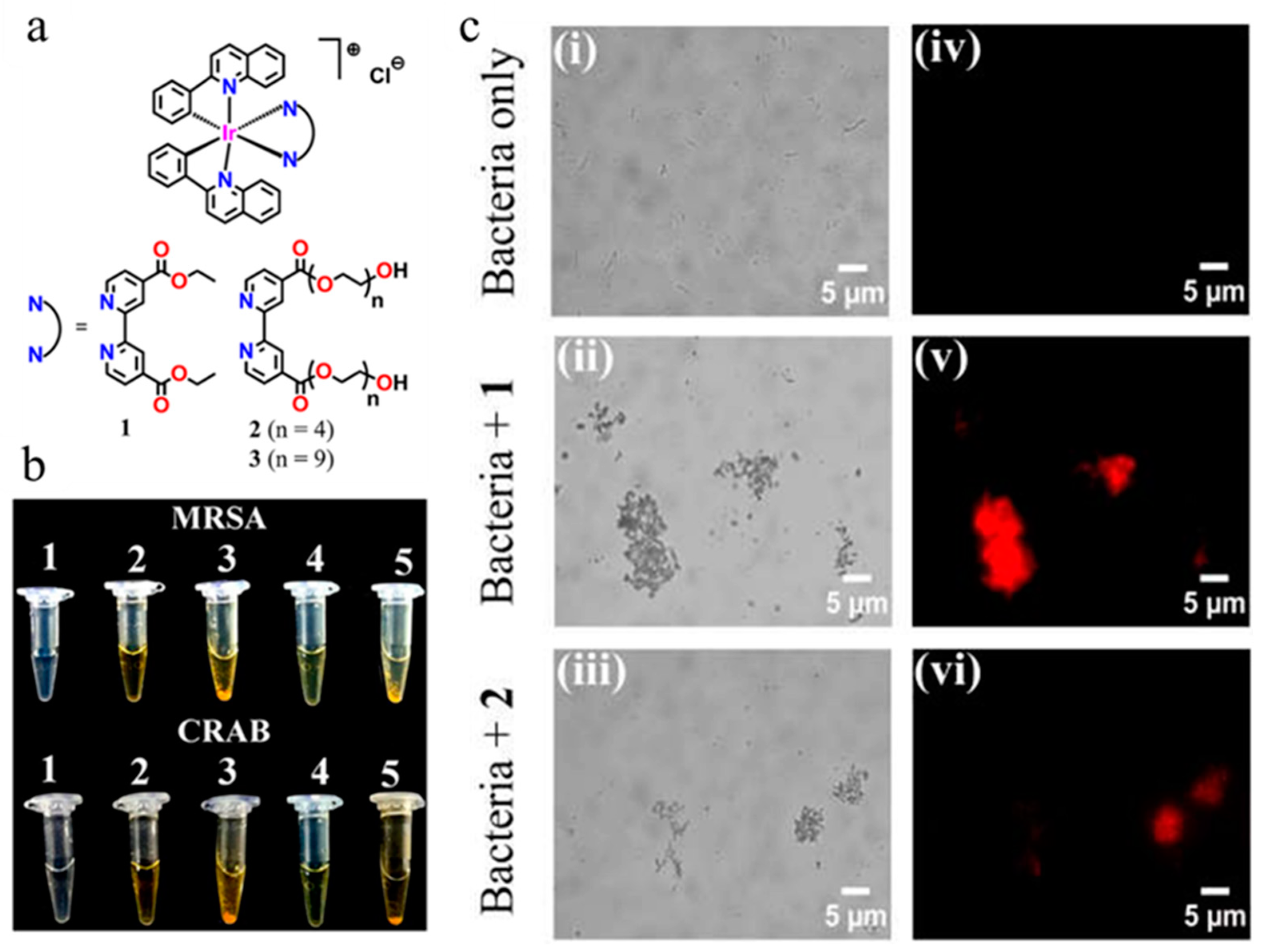 Molecules 27 06440 g020