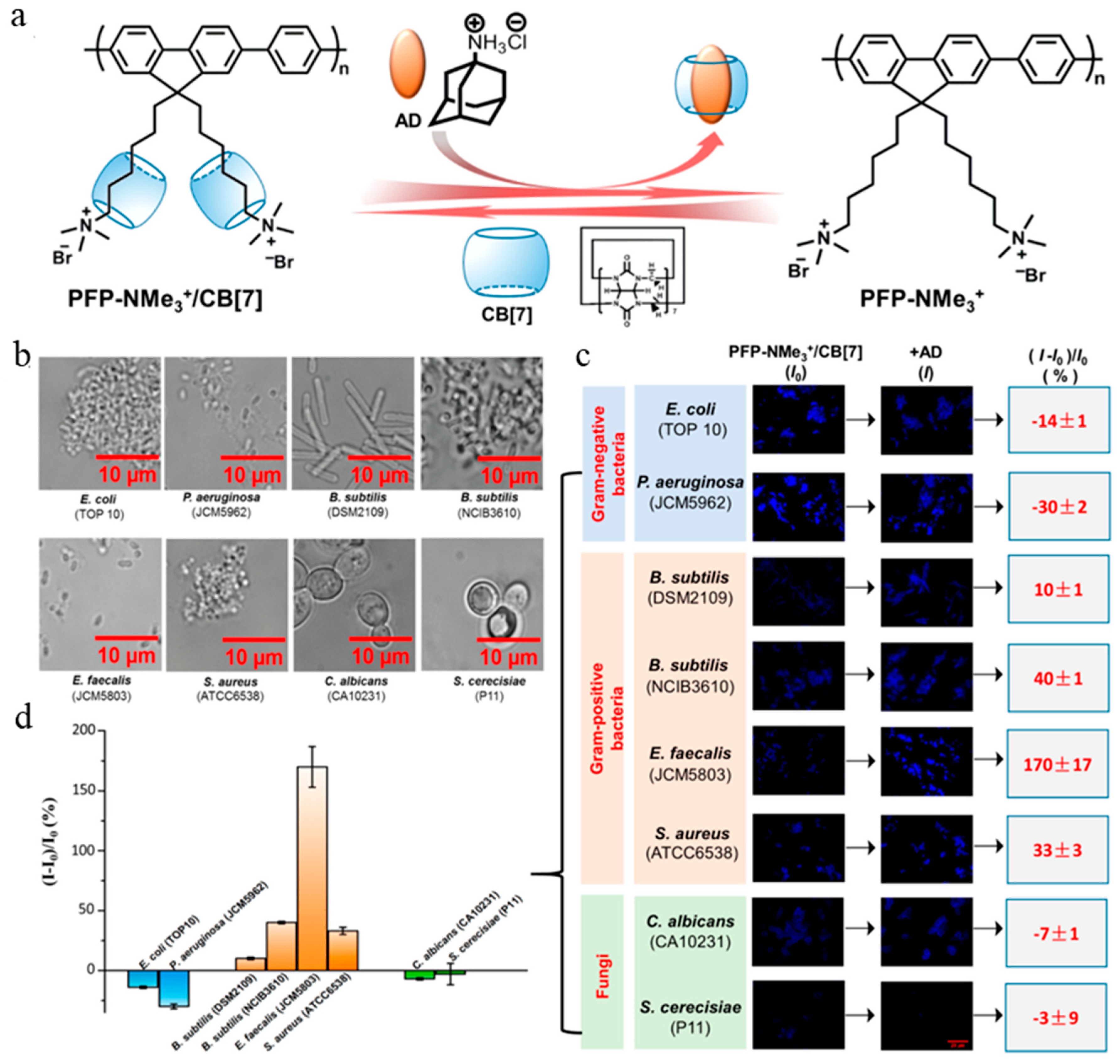 Molecules 27 06440 g022