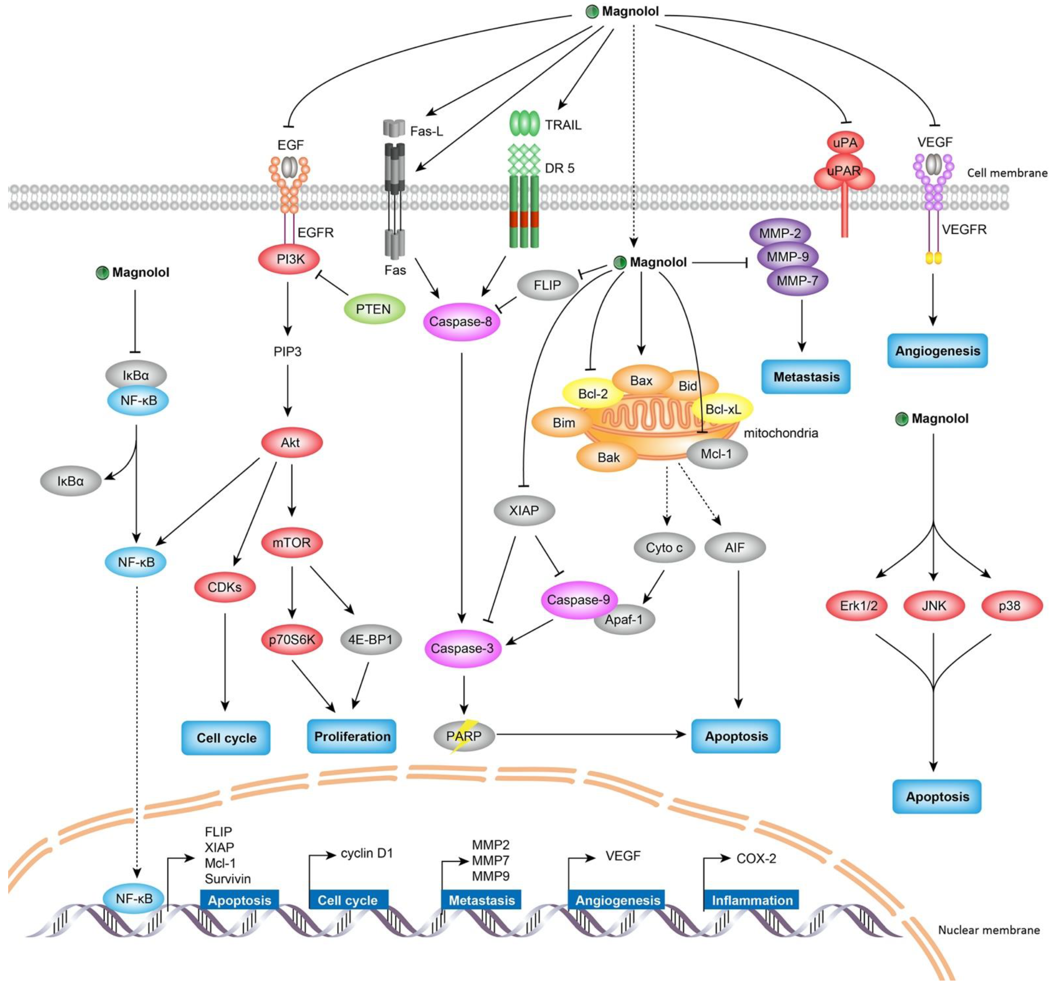 Molecules 27 06441 g002
