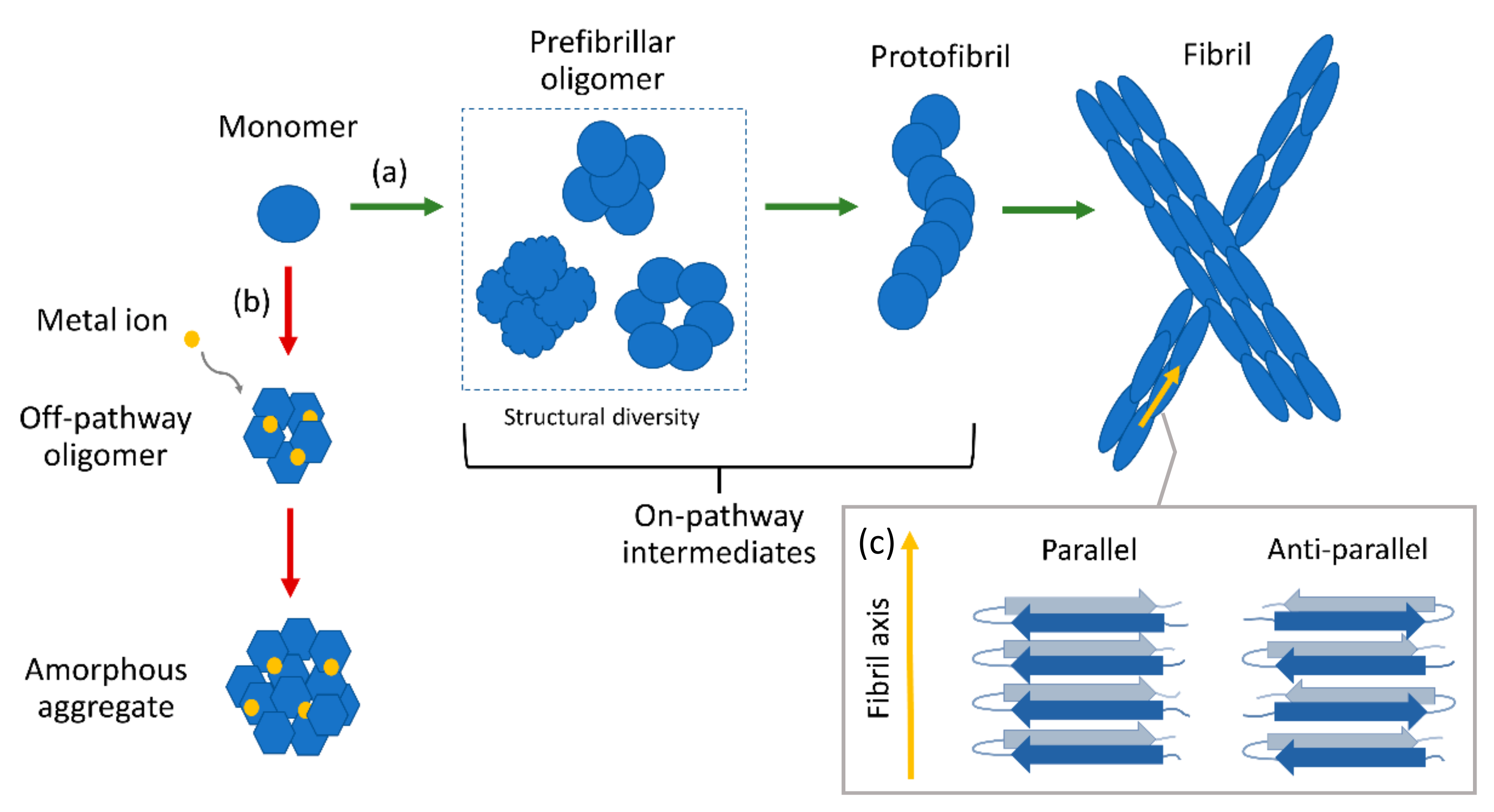 Molecules 27 06448 g001
