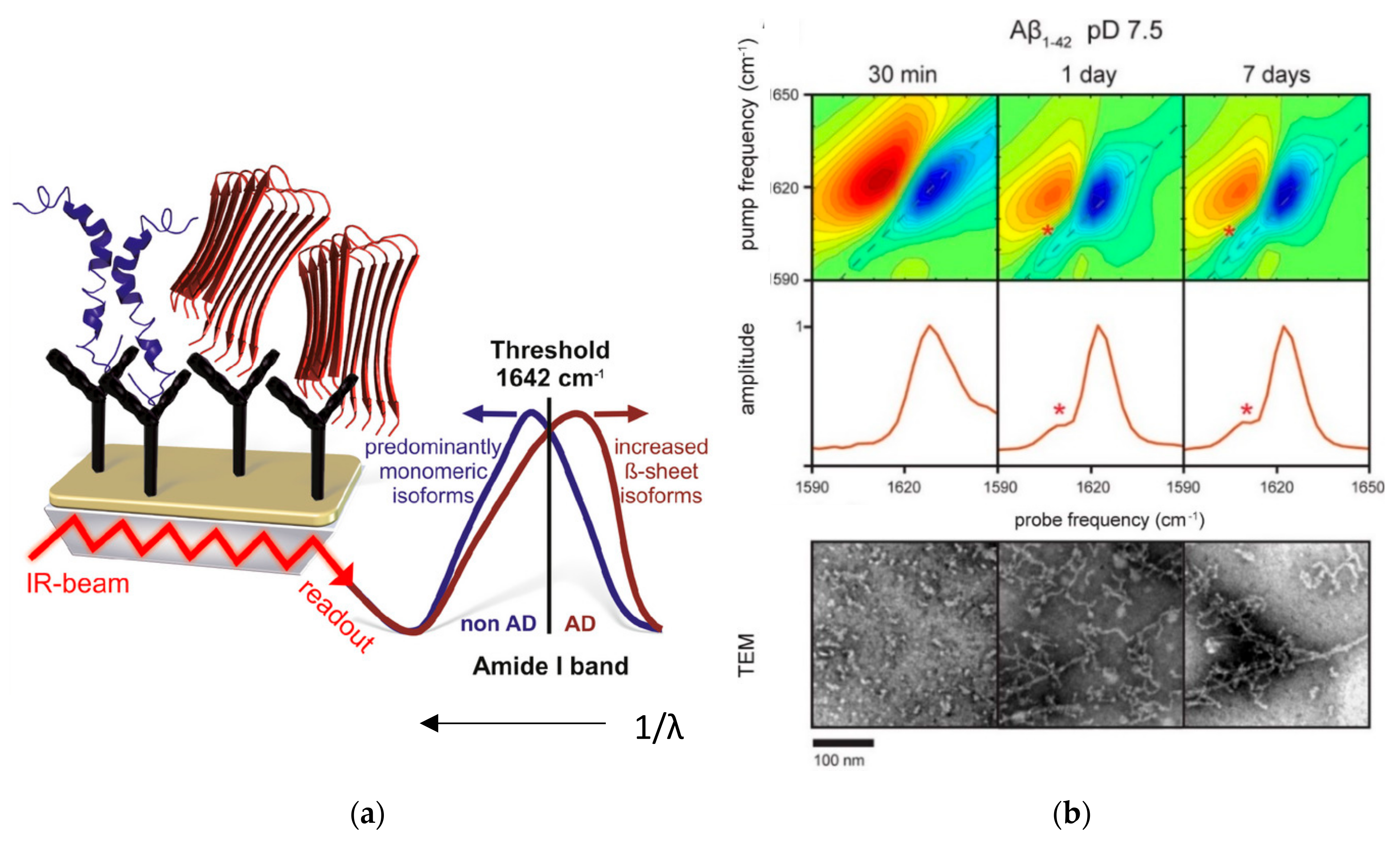 Molecules 27 06448 g002