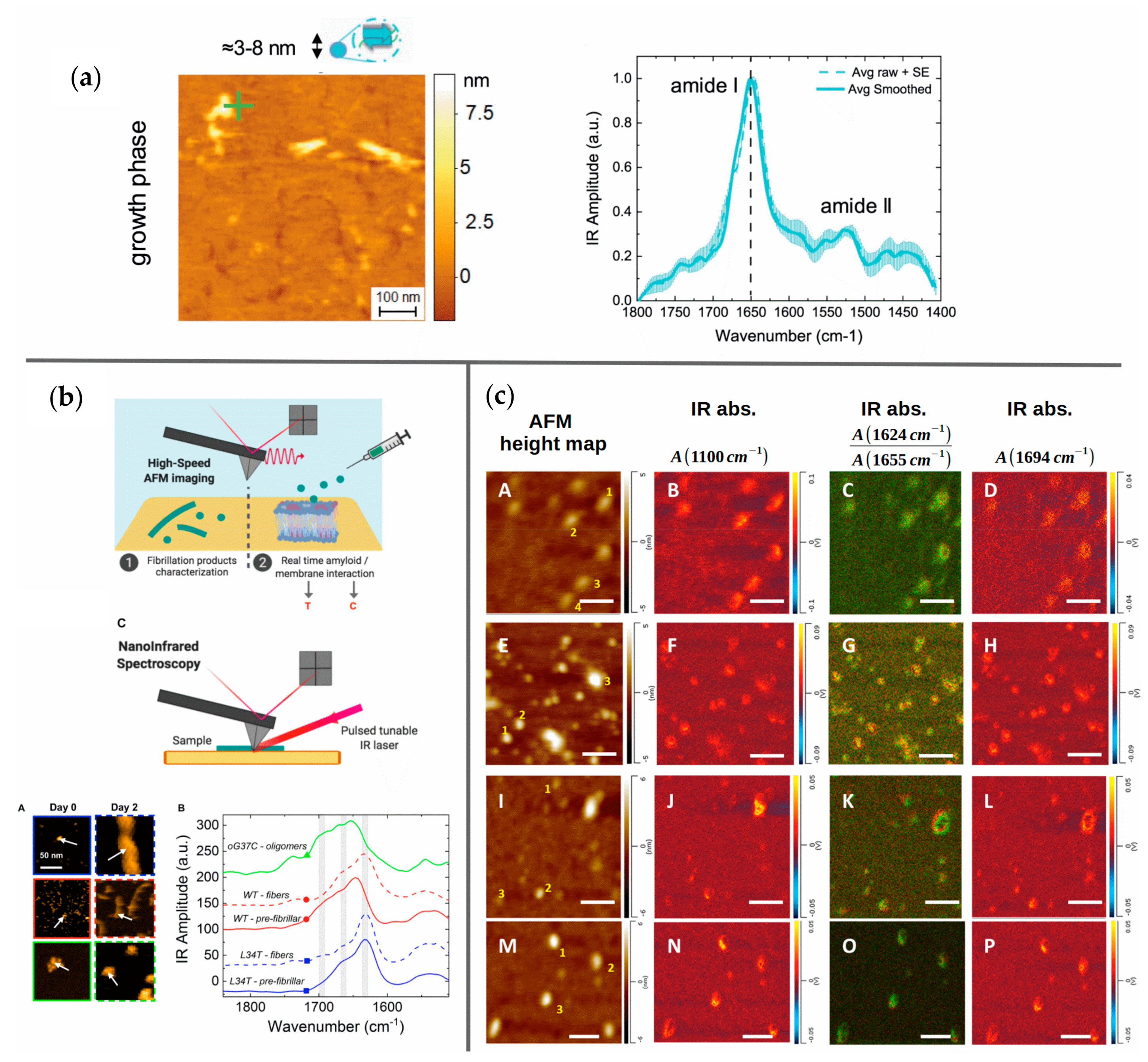 Molecules 27 06448 g004