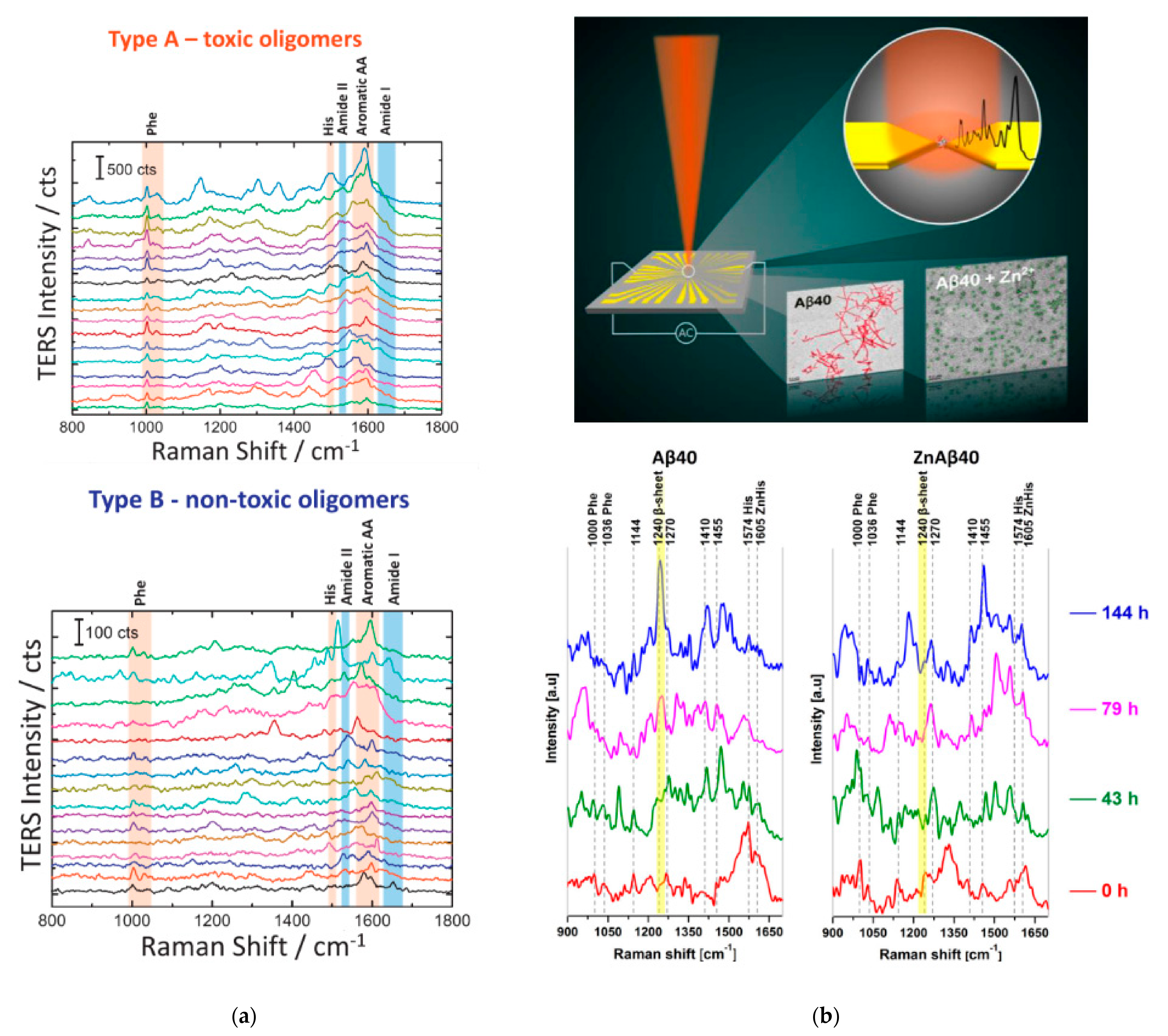 Molecules 27 06448 g005