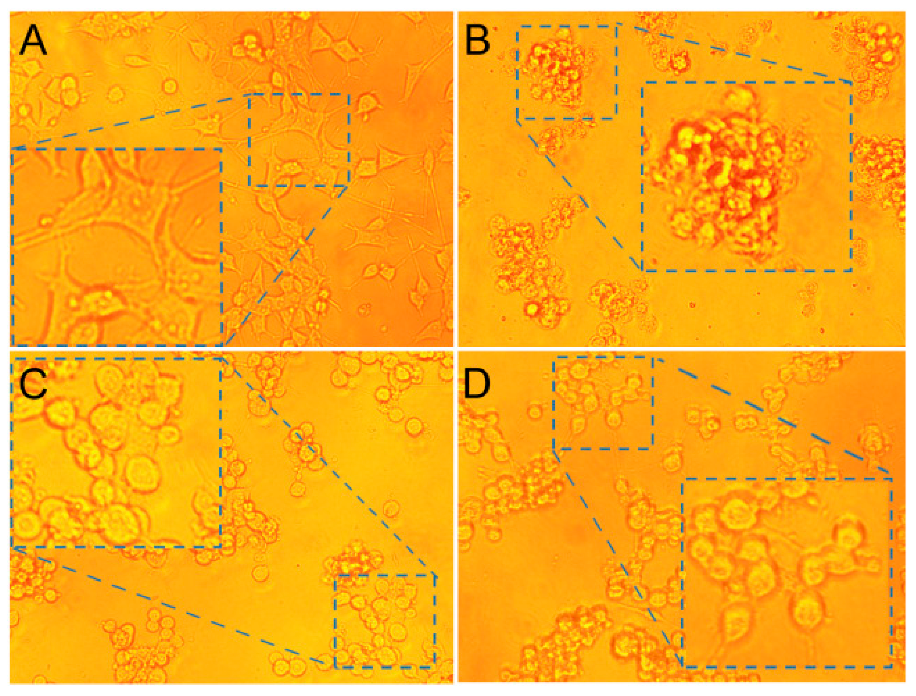 Molecules 27 06451 g008