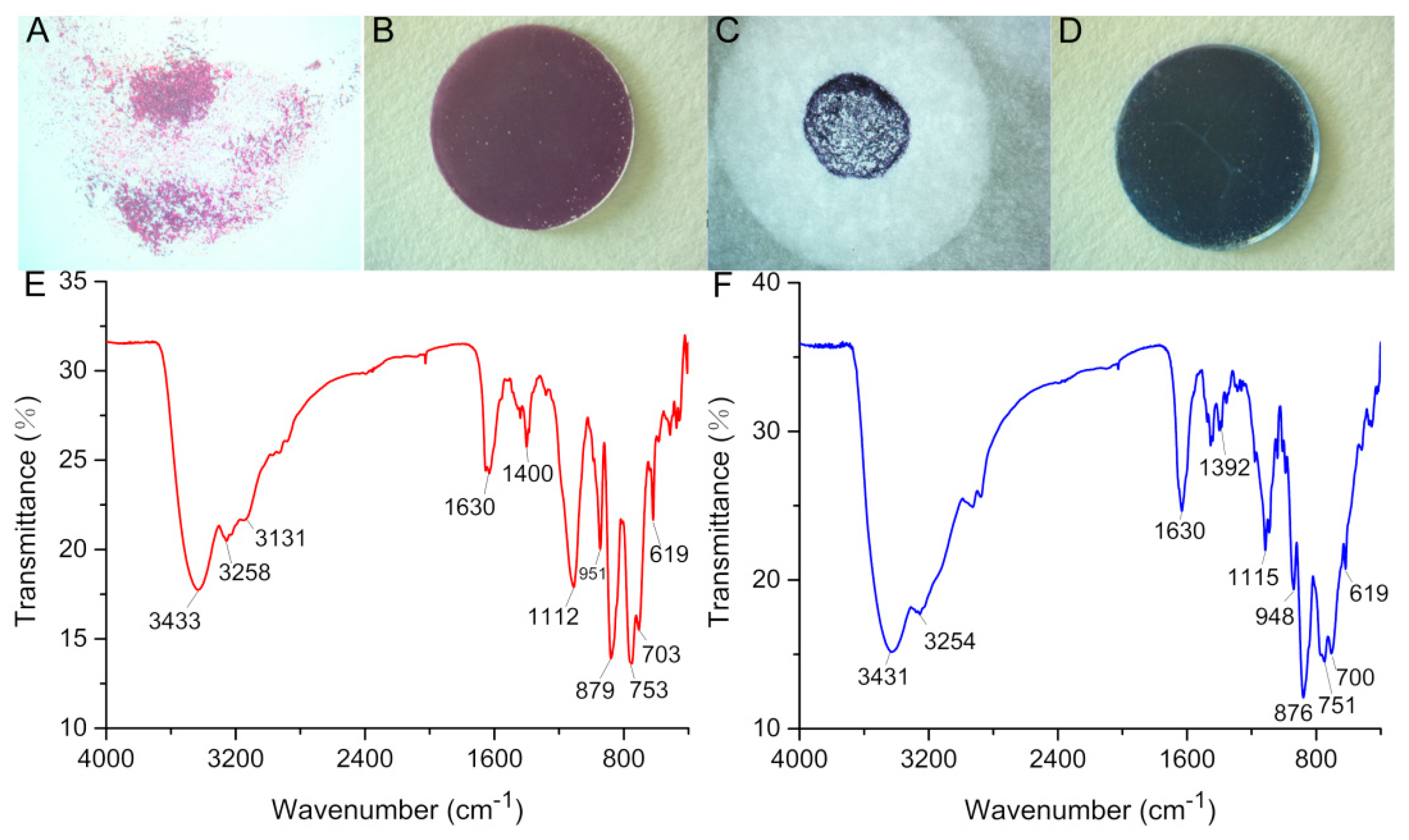 Molecules 27 06451 g010