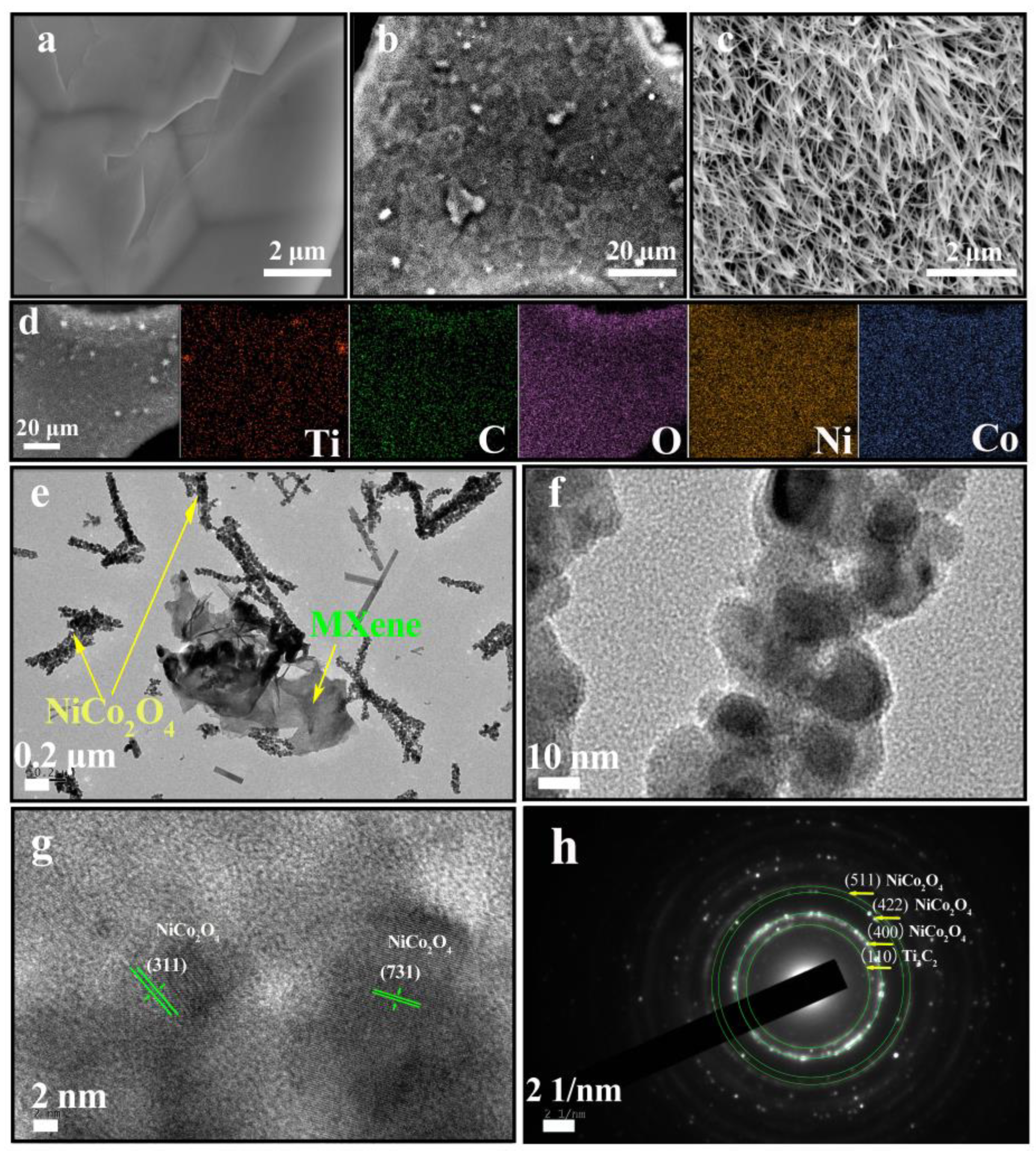Molecules 27 06452 g003