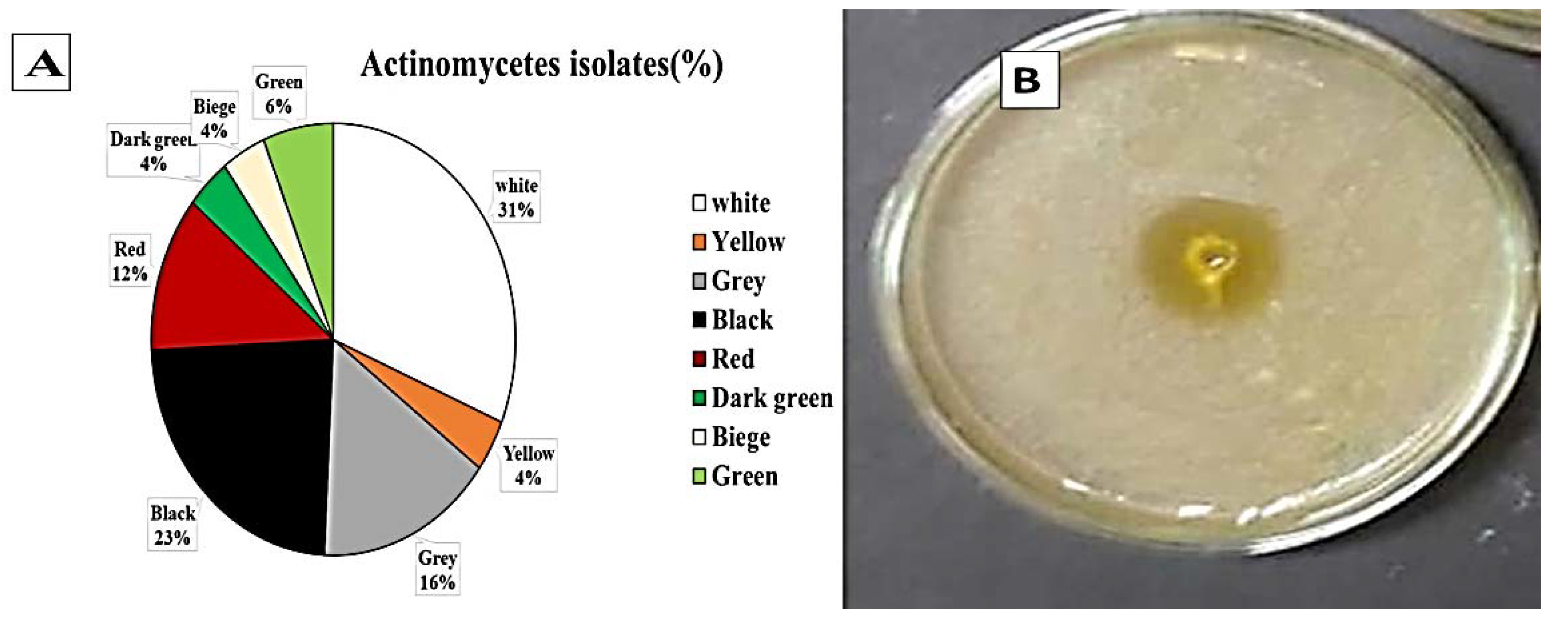 Molecules 27 06456 g001