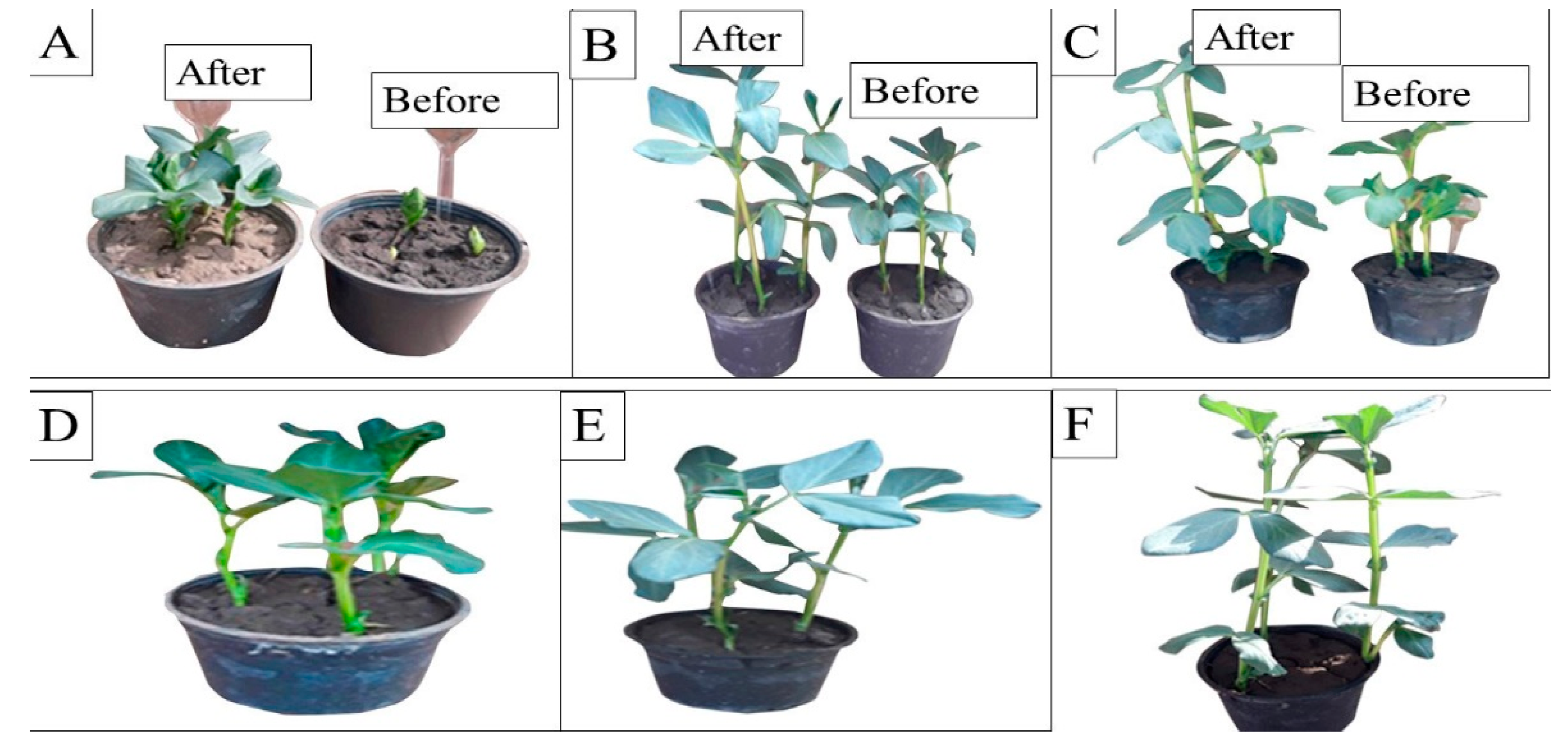 Molecules 27 06456 g008