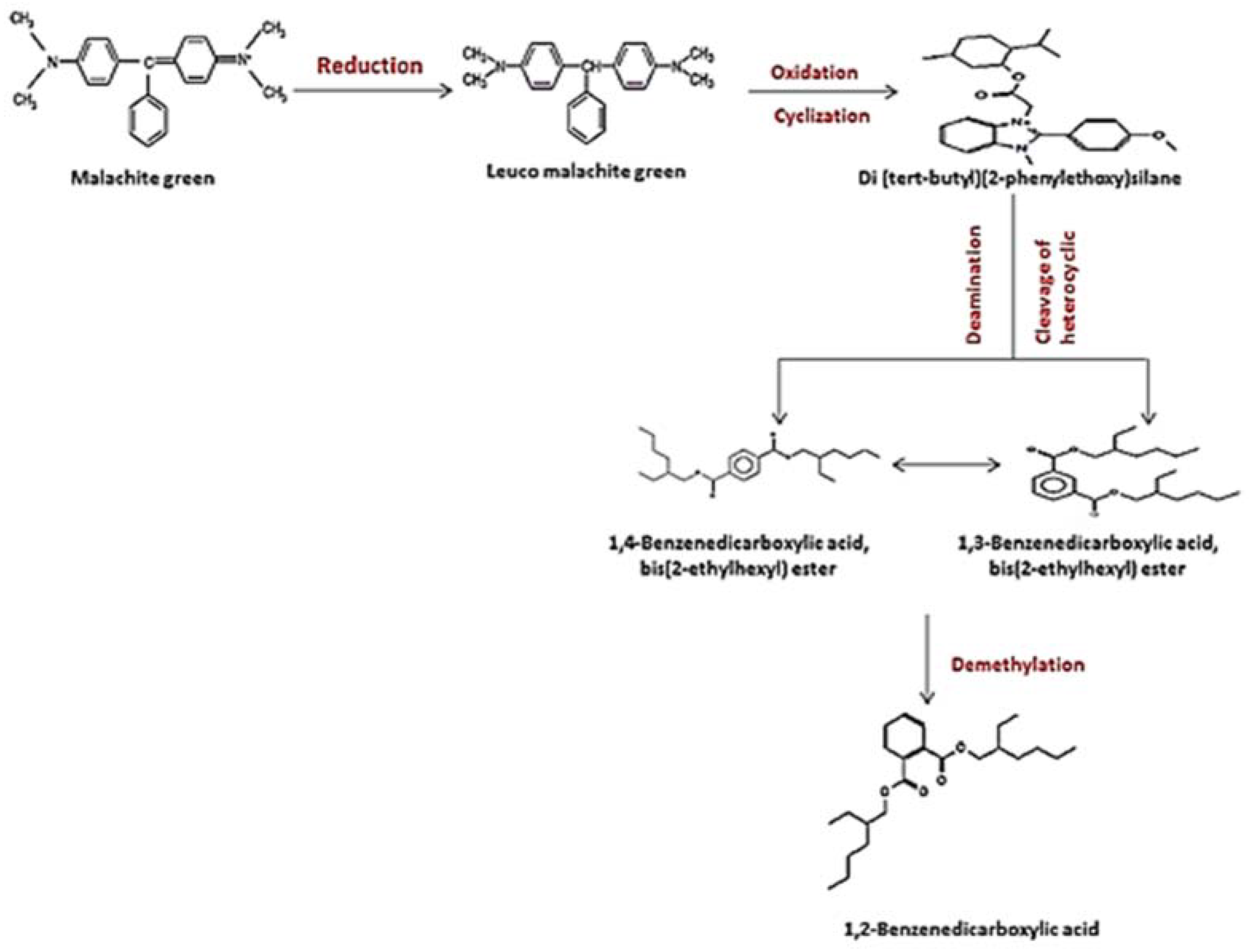 Molecules 27 06456 g013