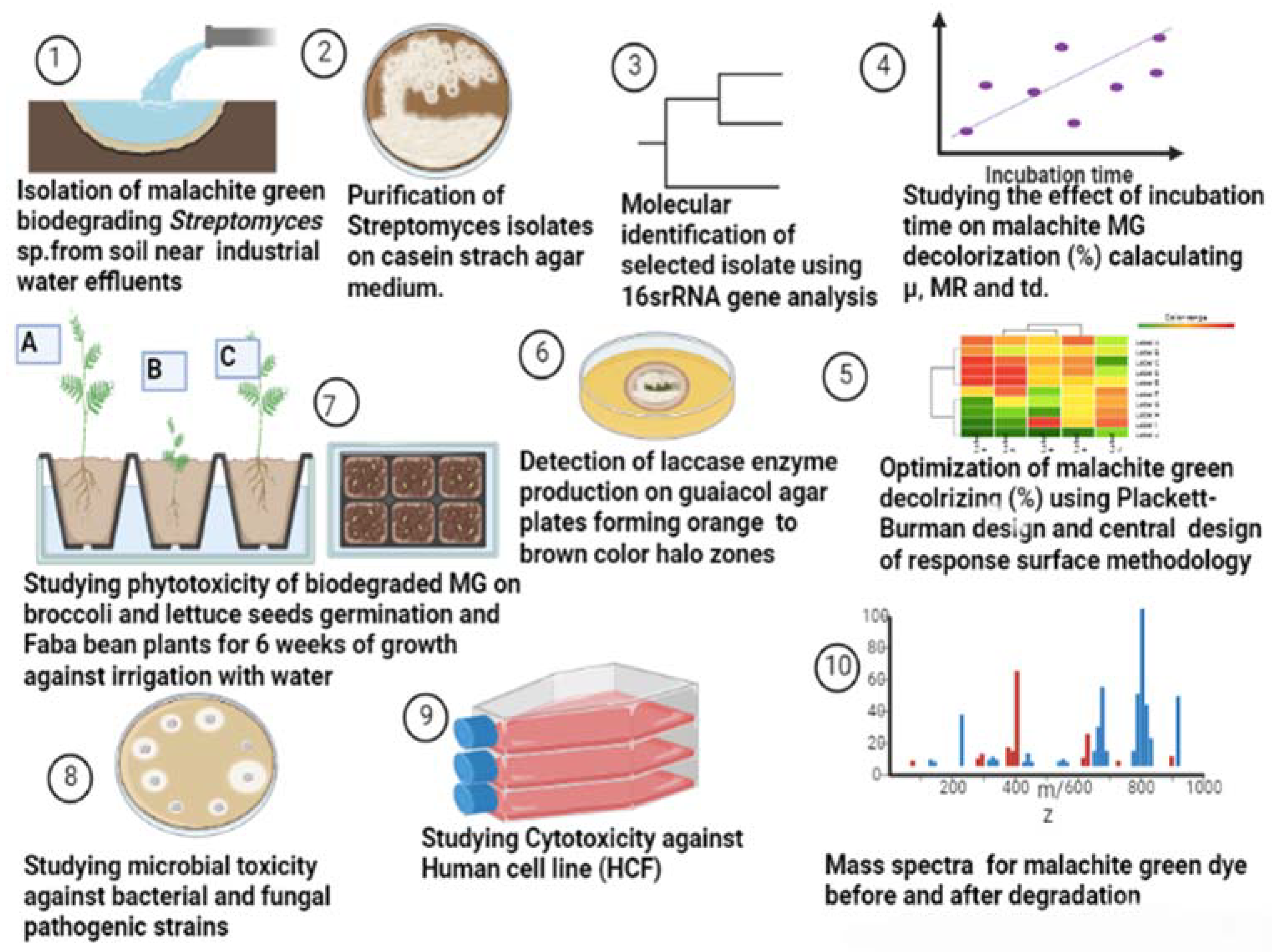 Molecules 27 06456 g014