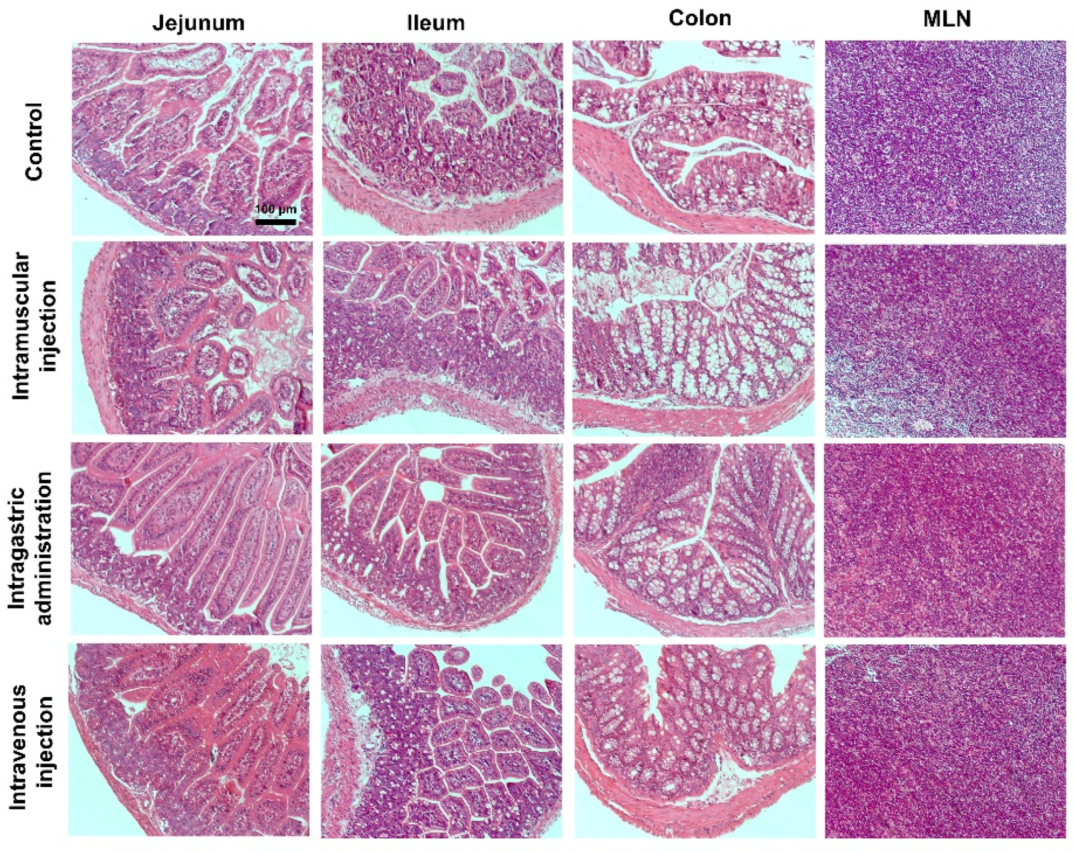 Molecules 27 06461 g003
