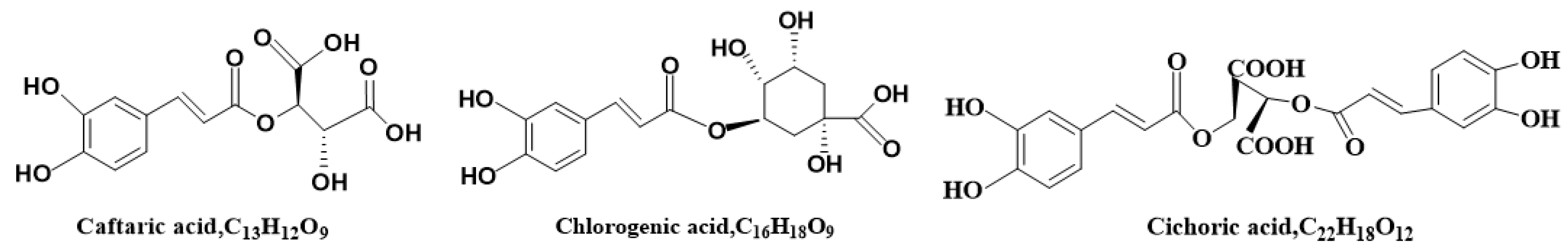 Molecules 27 06463 g001
