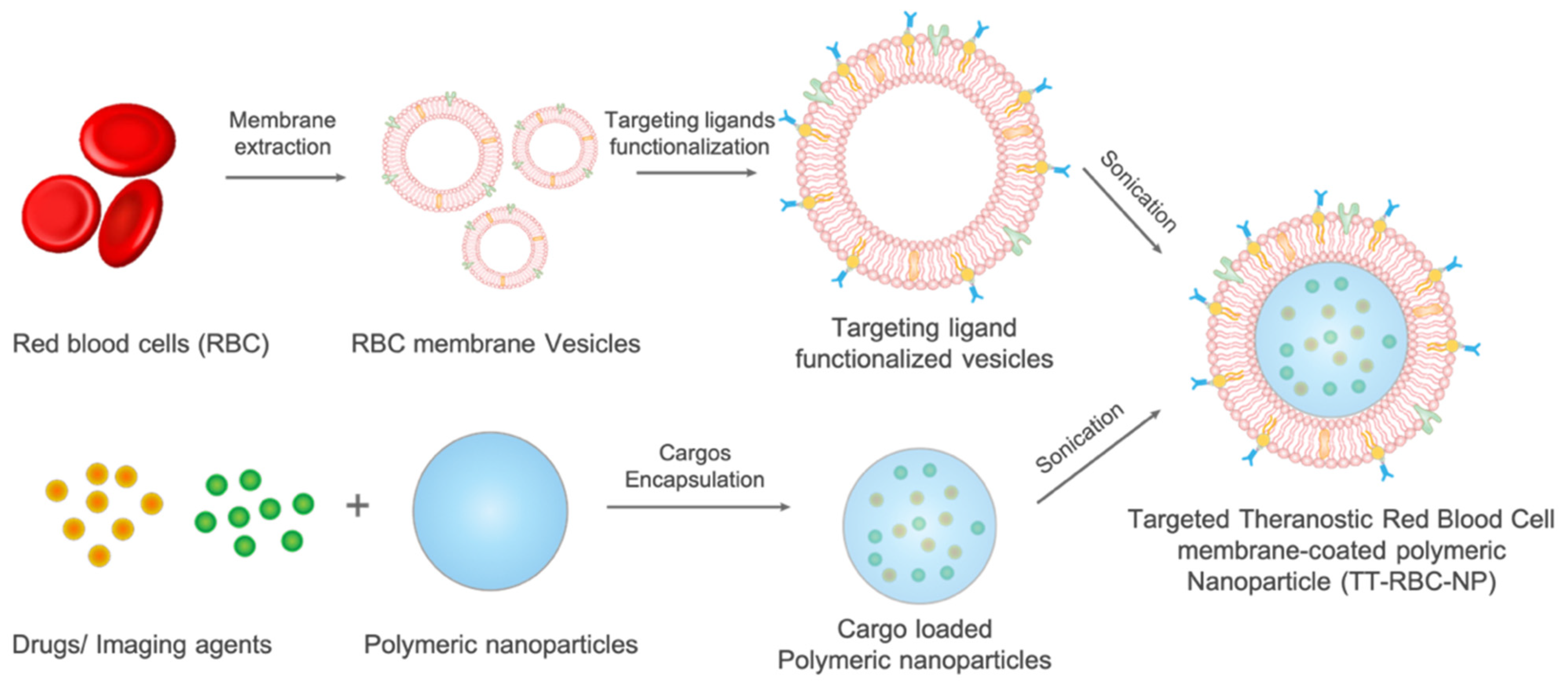 Molecules 27 06473 g001