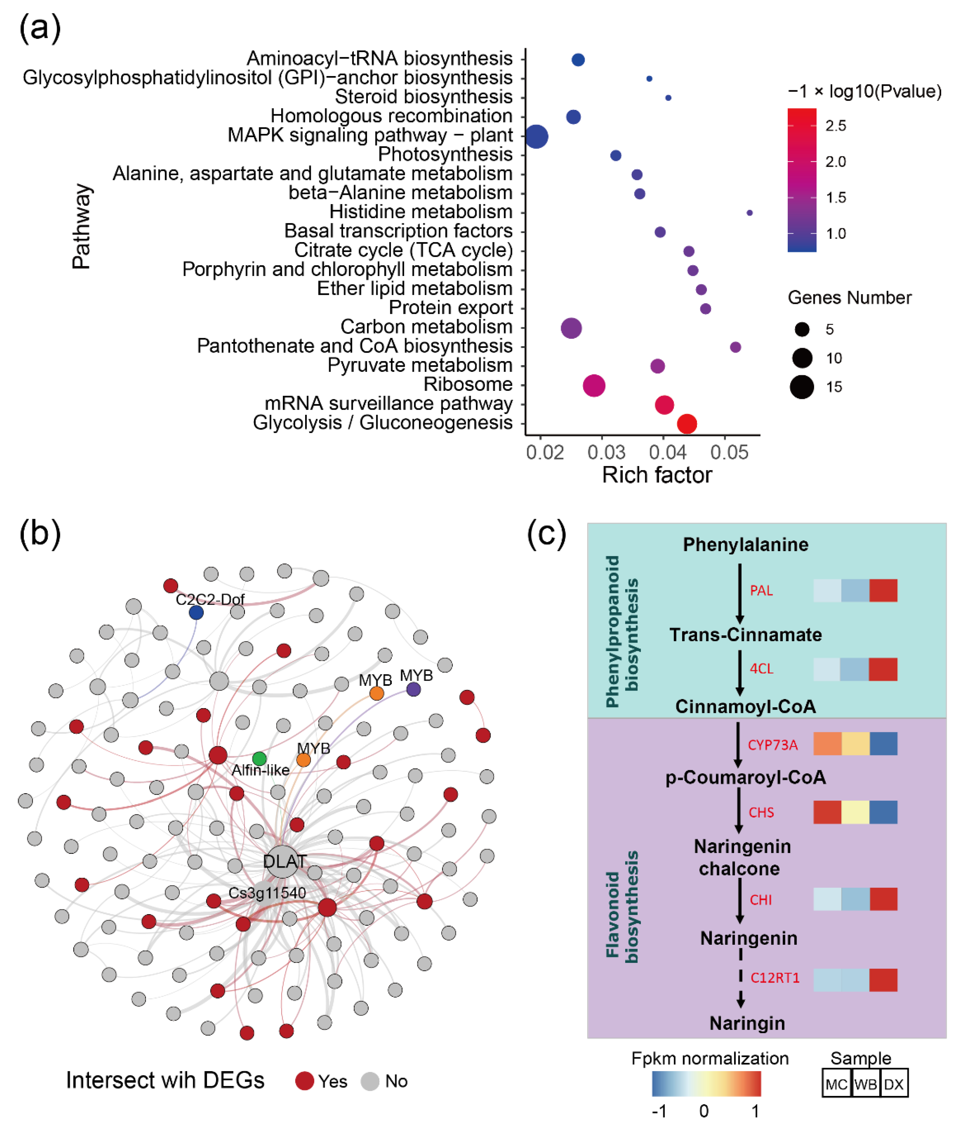 Molecules 27 06476 g004