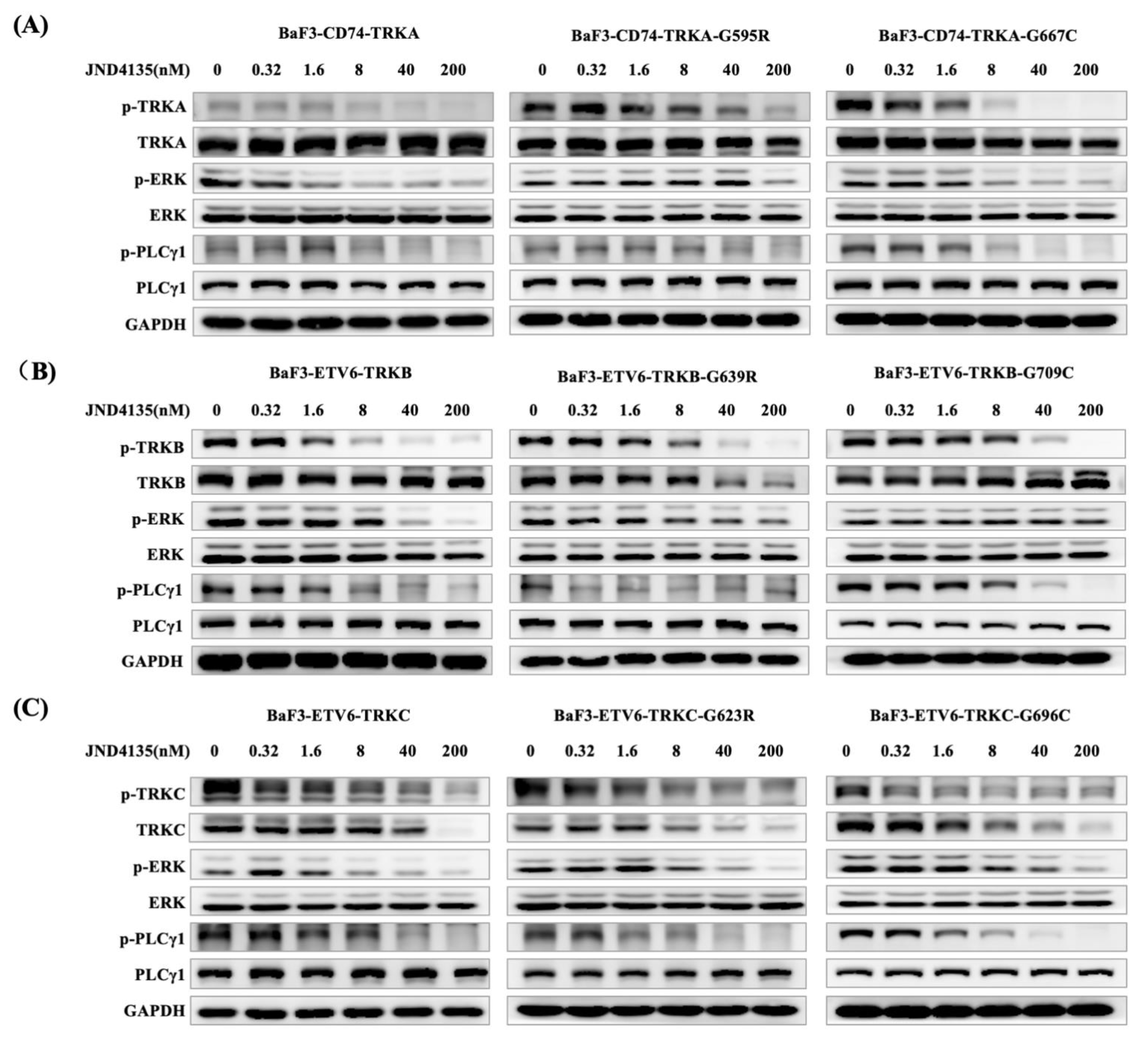 Molecules 27 06500 g002 Molecules 27 06500 g002