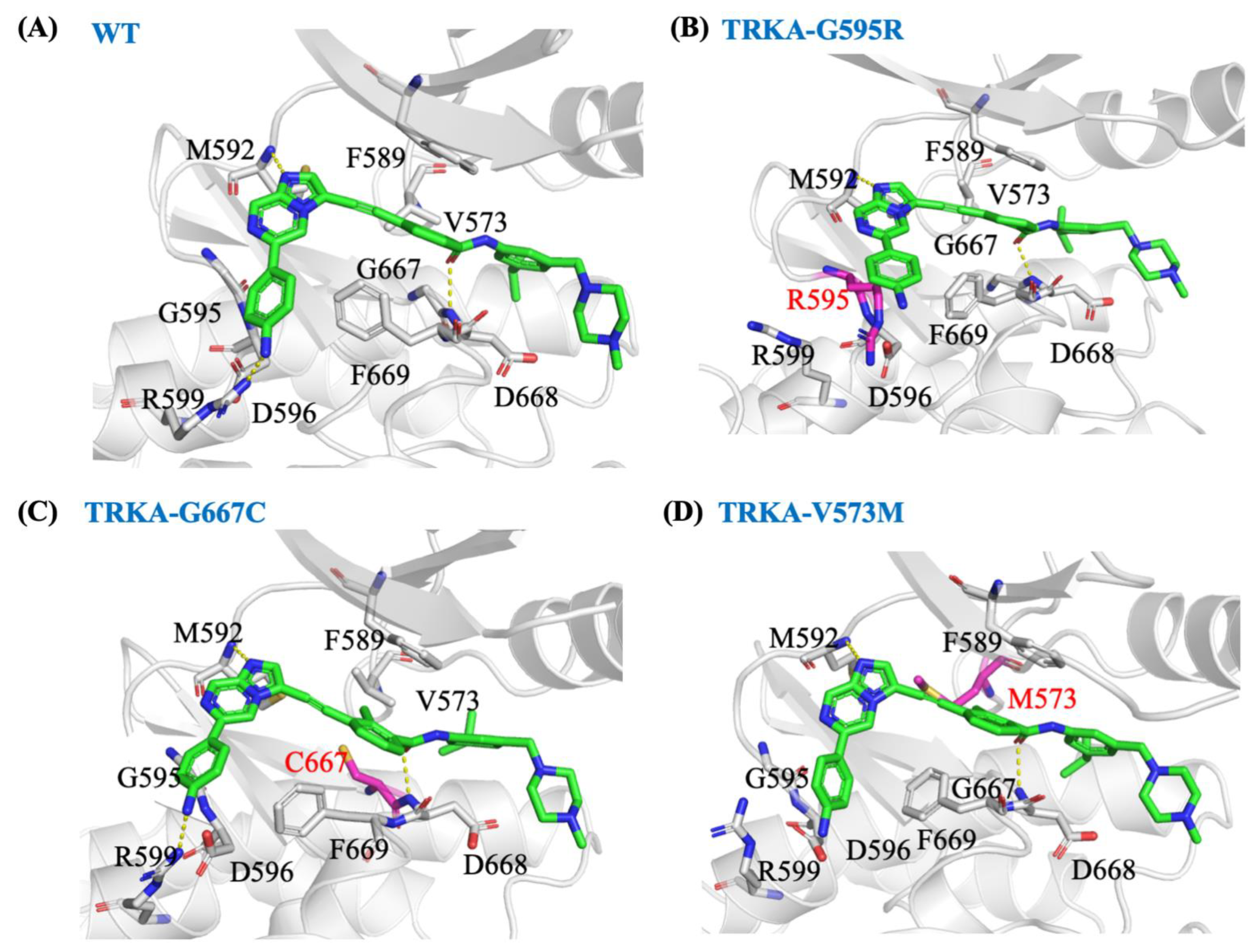 Molecules 27 06500 g005 Molecules 27 06500 g005