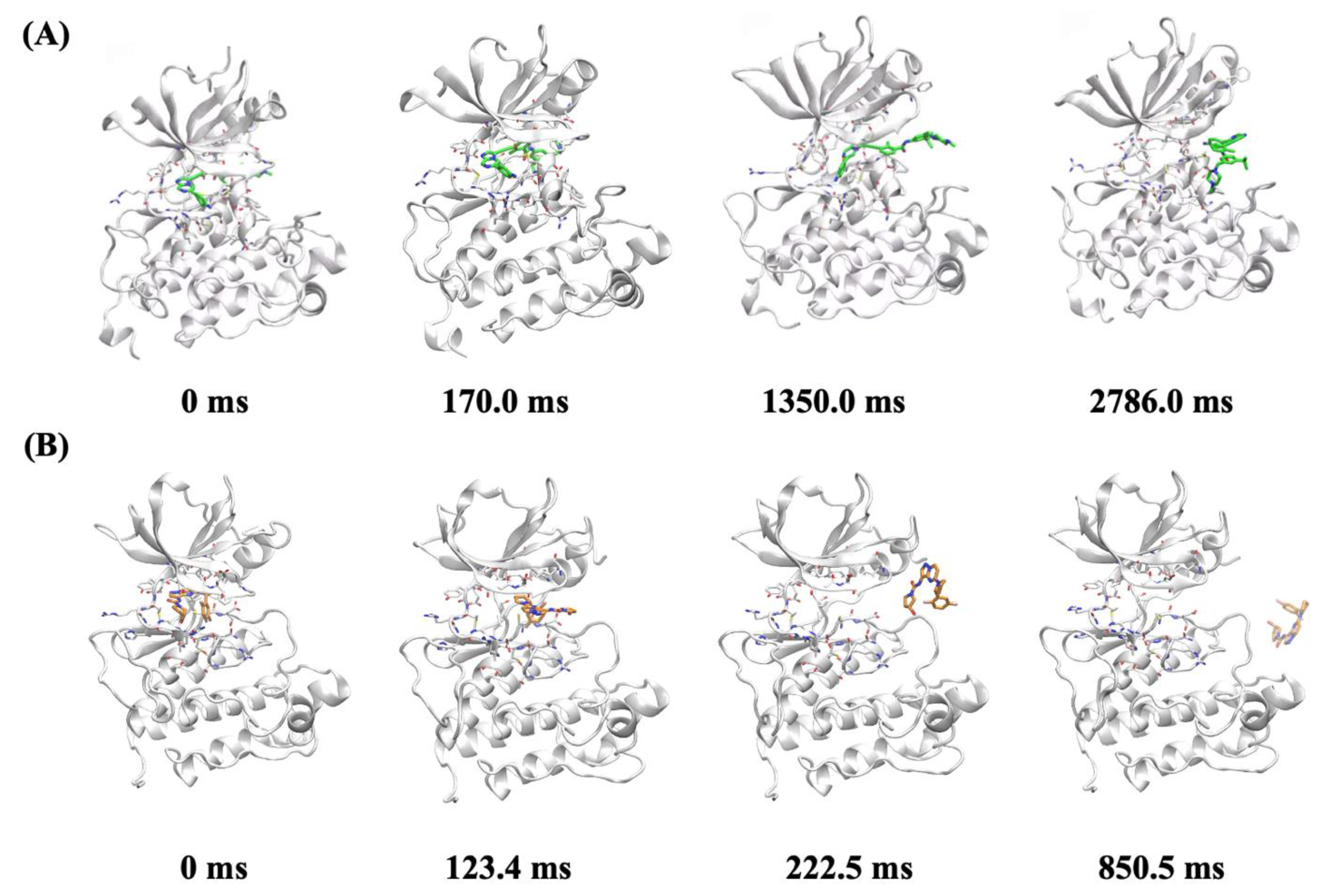 Molecules 27 06500 g006 Molecules 27 06500 g006