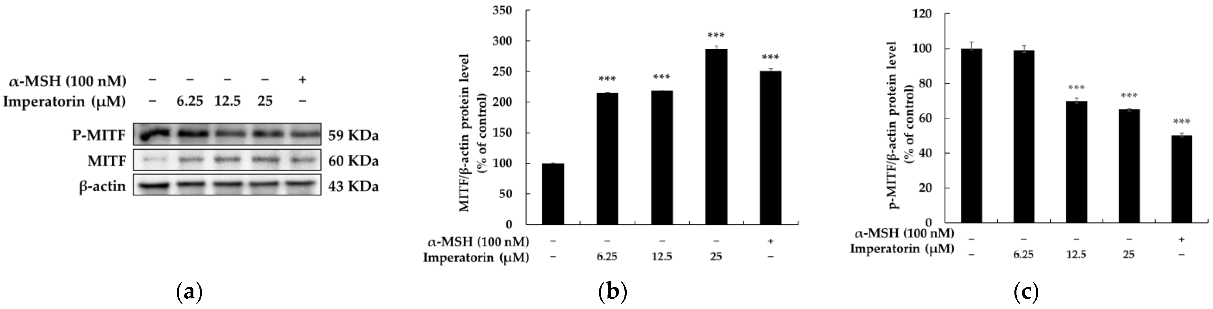 Molecules 27 06512 g004 Molecules 27 06512 g004