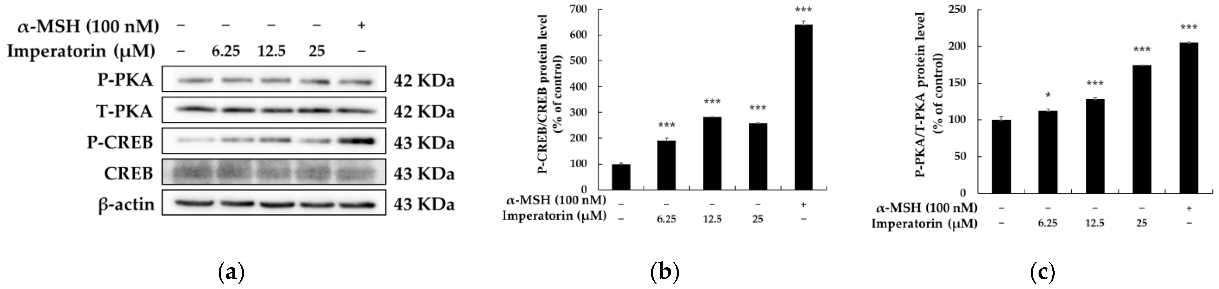 Molecules 27 06512 g005 Molecules 27 06512 g005