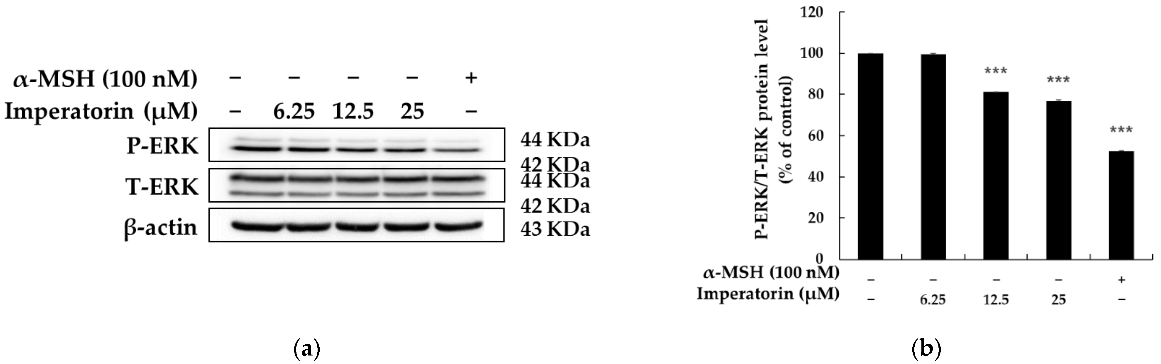 Molecules 27 06512 g006 Molecules 27 06512 g006