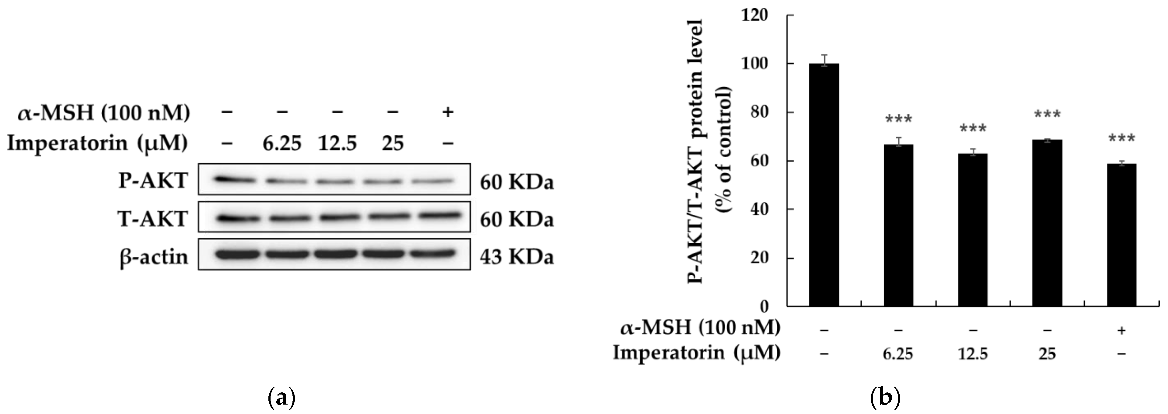 Molecules 27 06512 g007 Molecules 27 06512 g007