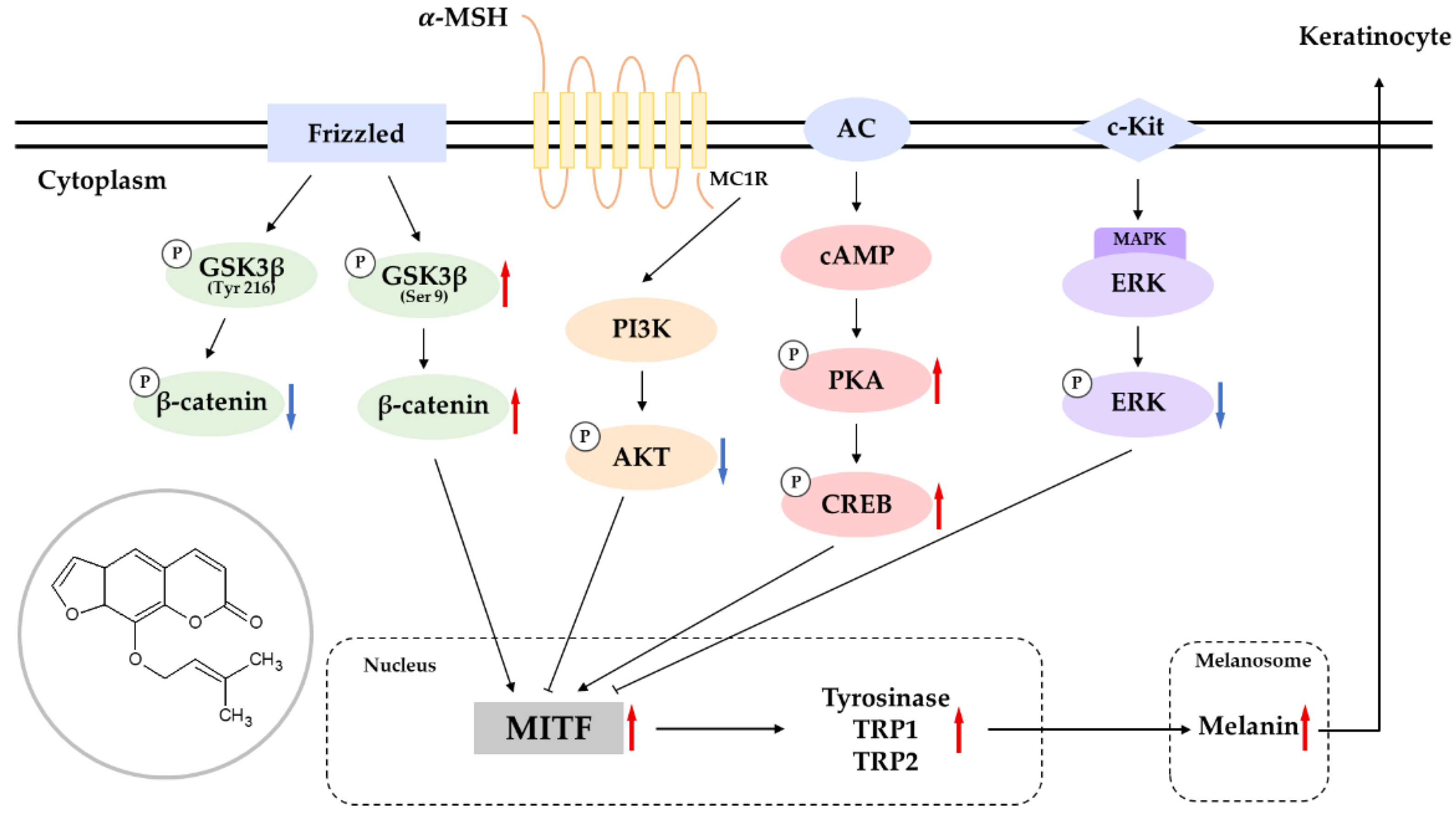 Molecules 27 06512 g010 Molecules 27 06512 g010