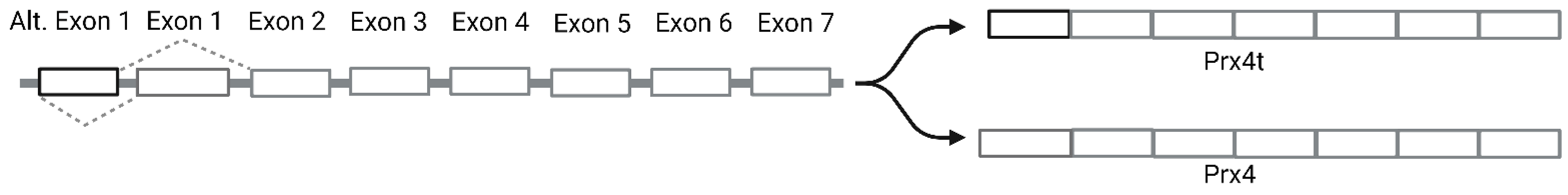 Molecules 27 06513 g002