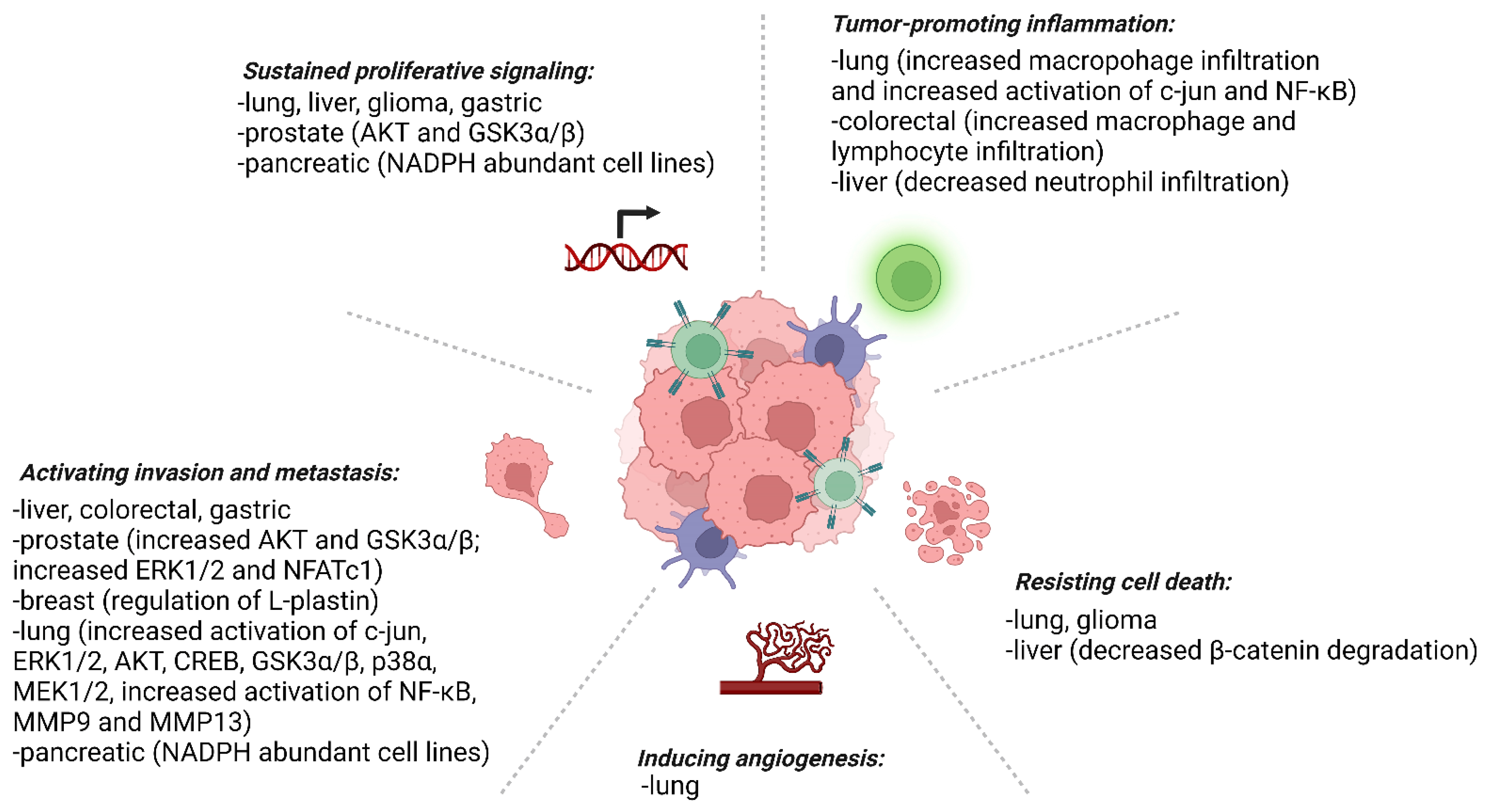 Molecules 27 06513 g005