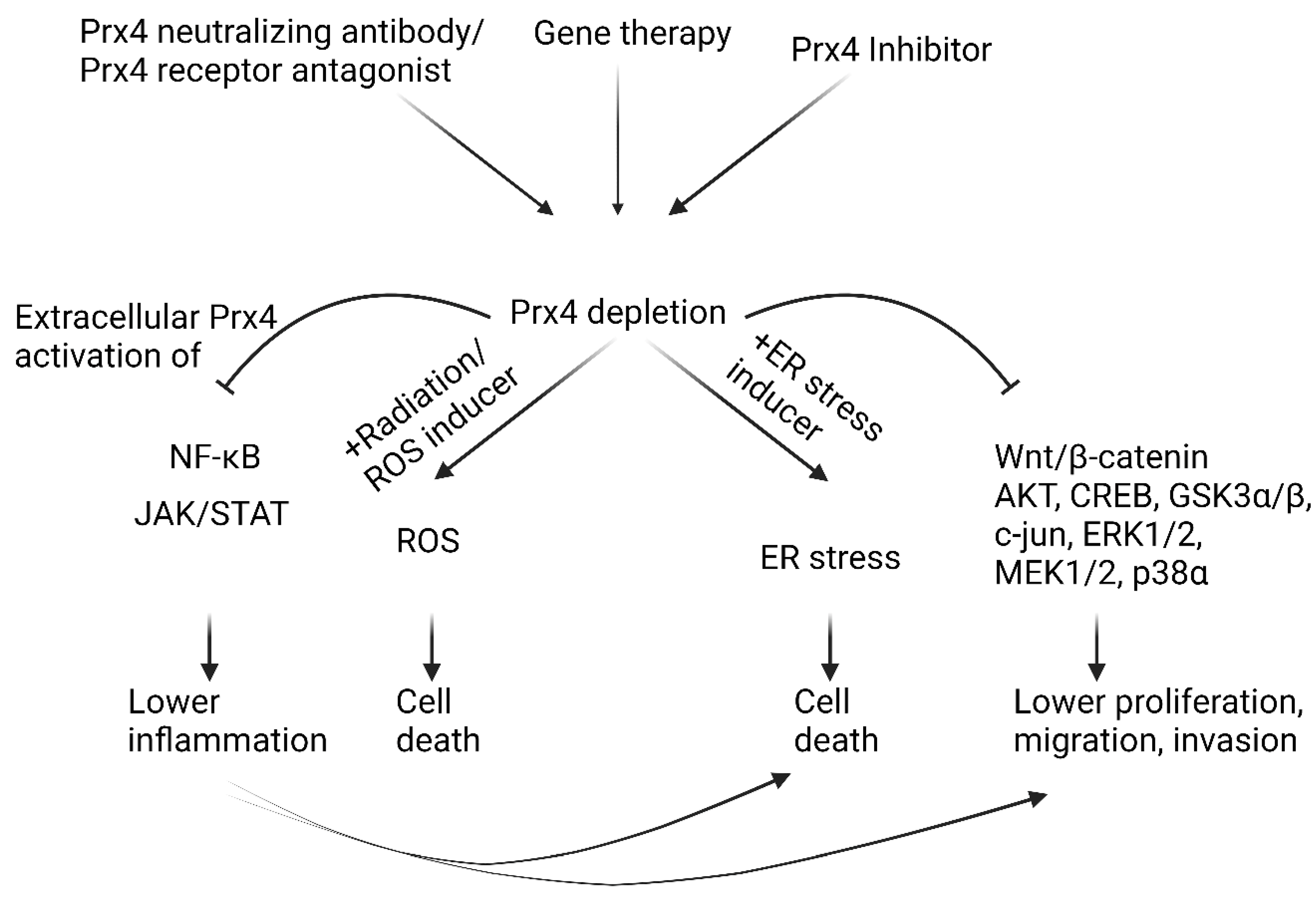 Molecules 27 06513 g006